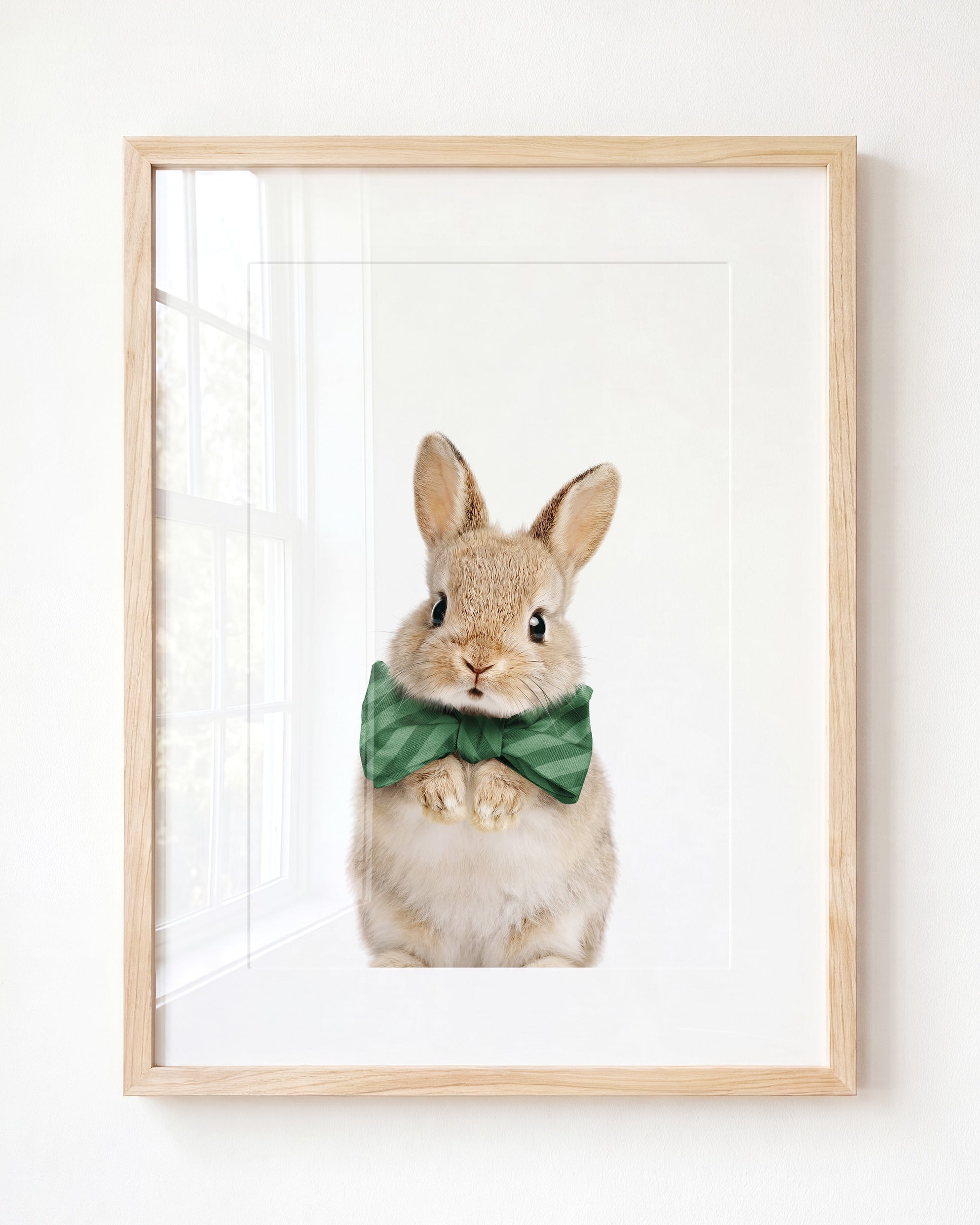 Baby Rabbit