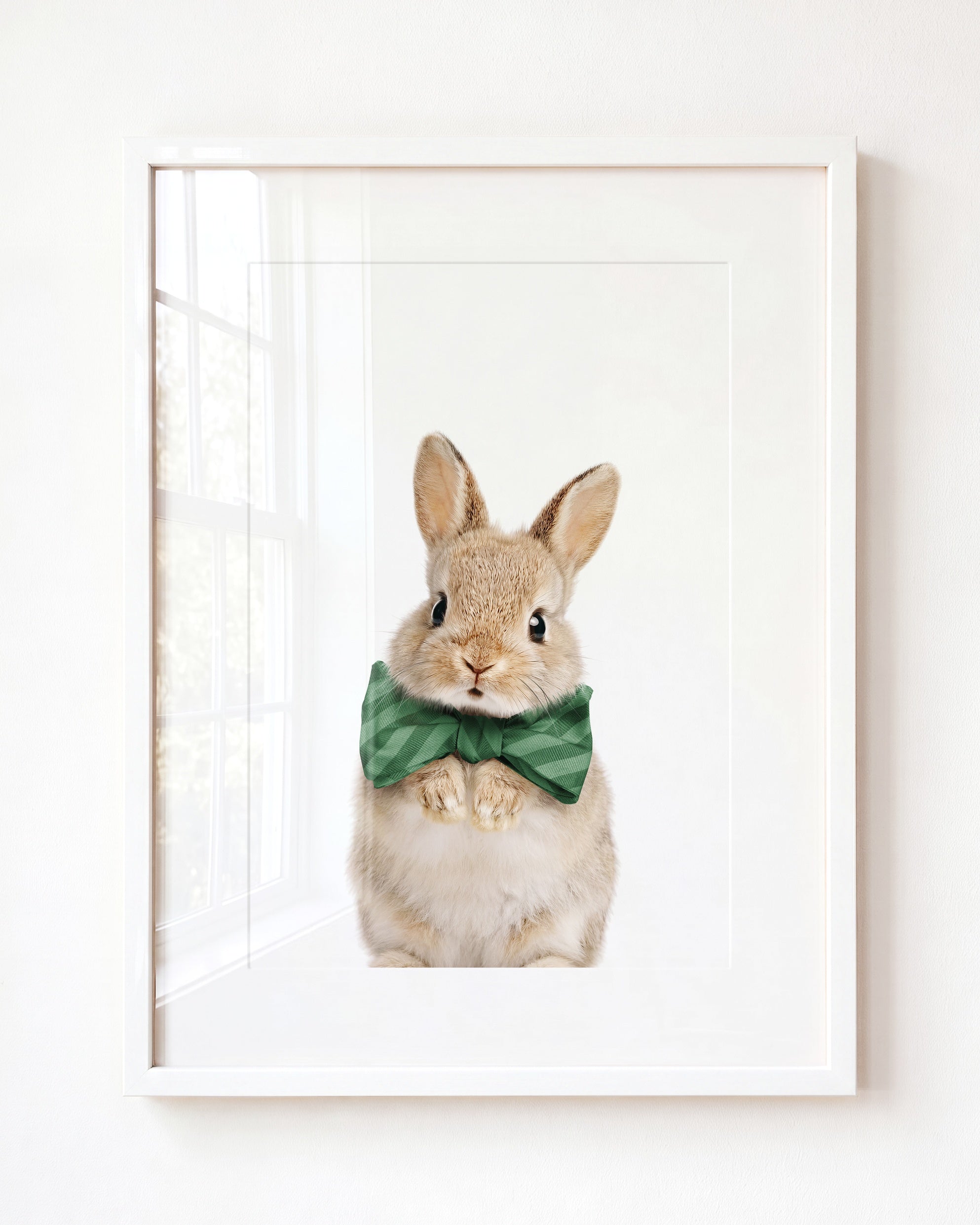Baby Rabbit