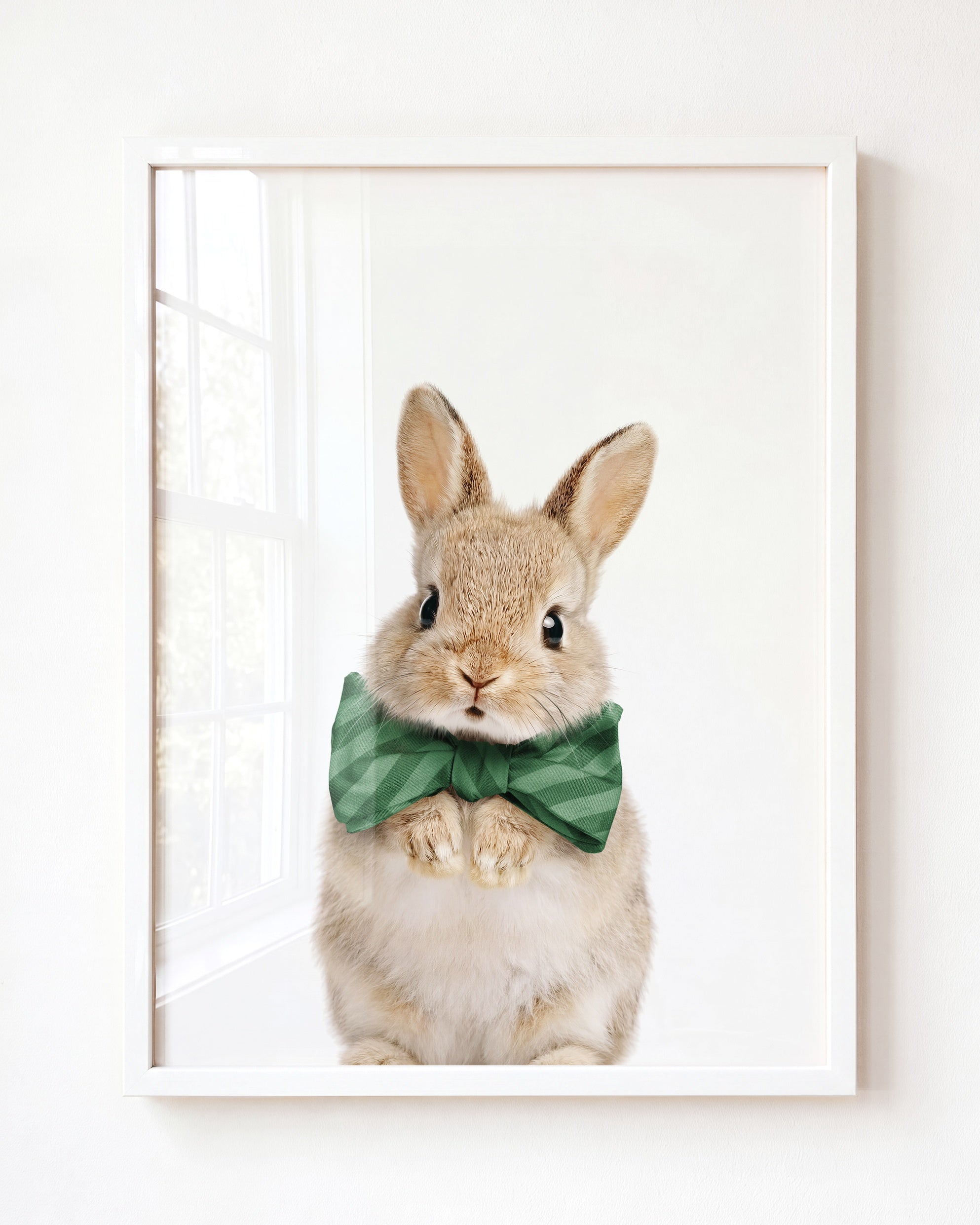 Baby Rabbit
