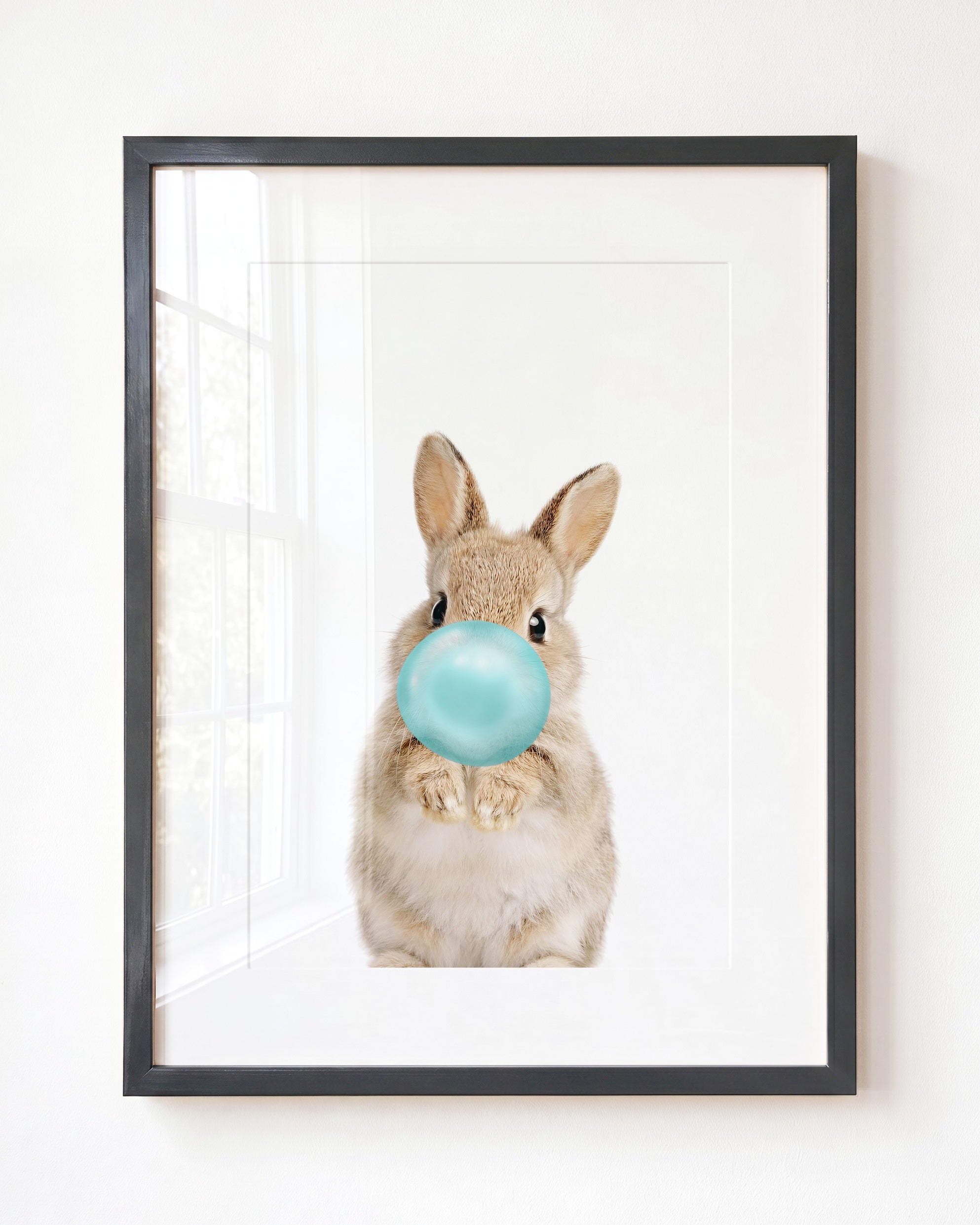 Baby Rabbit