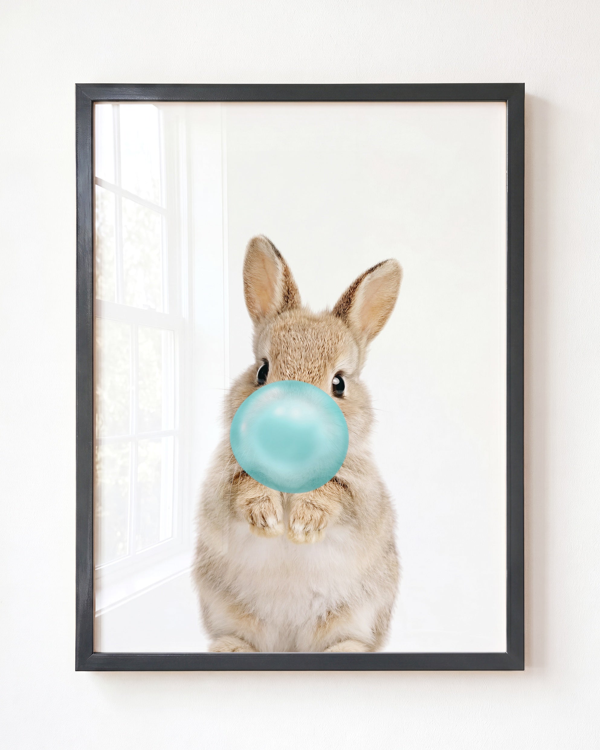 Baby Rabbit
