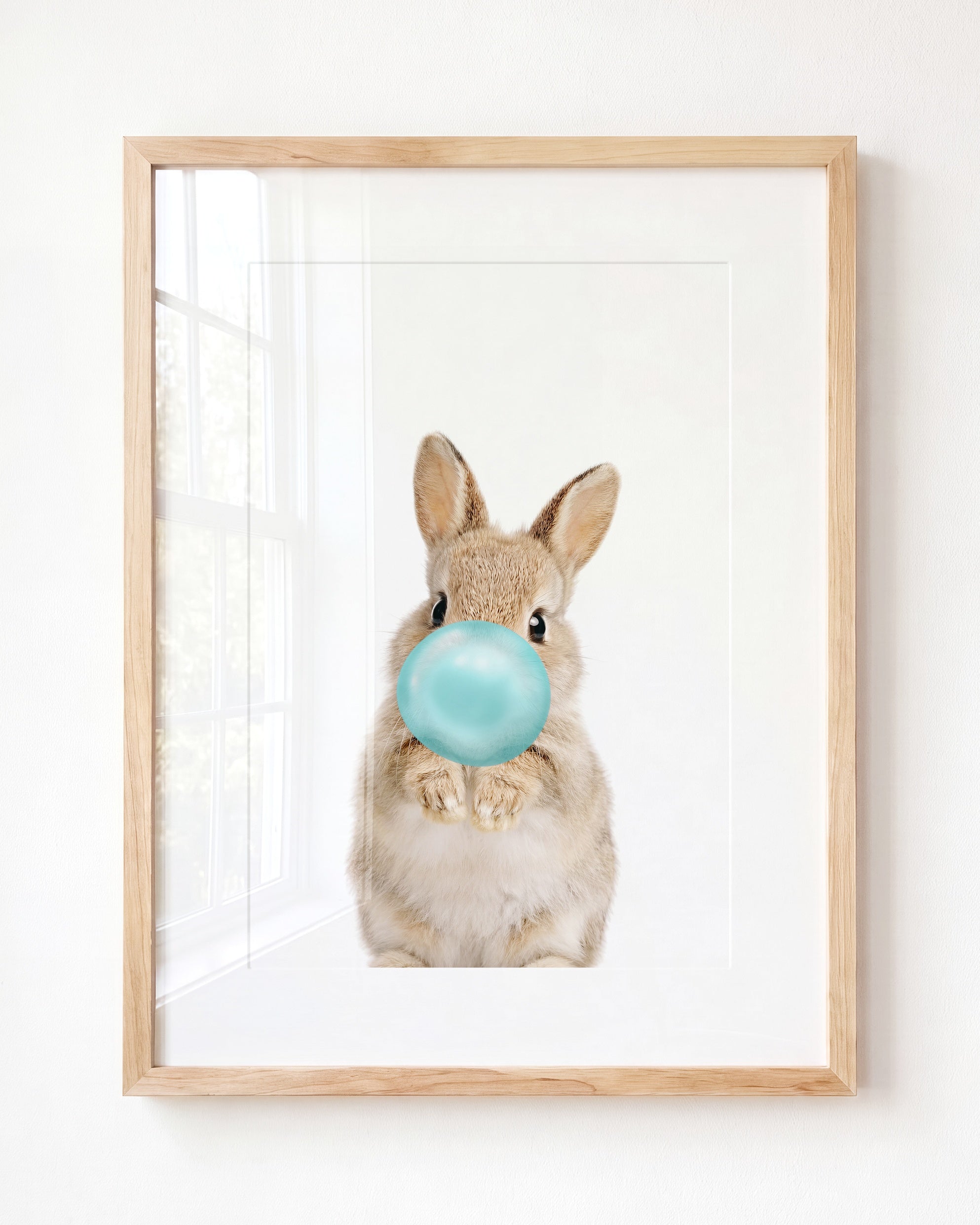 Baby Rabbit