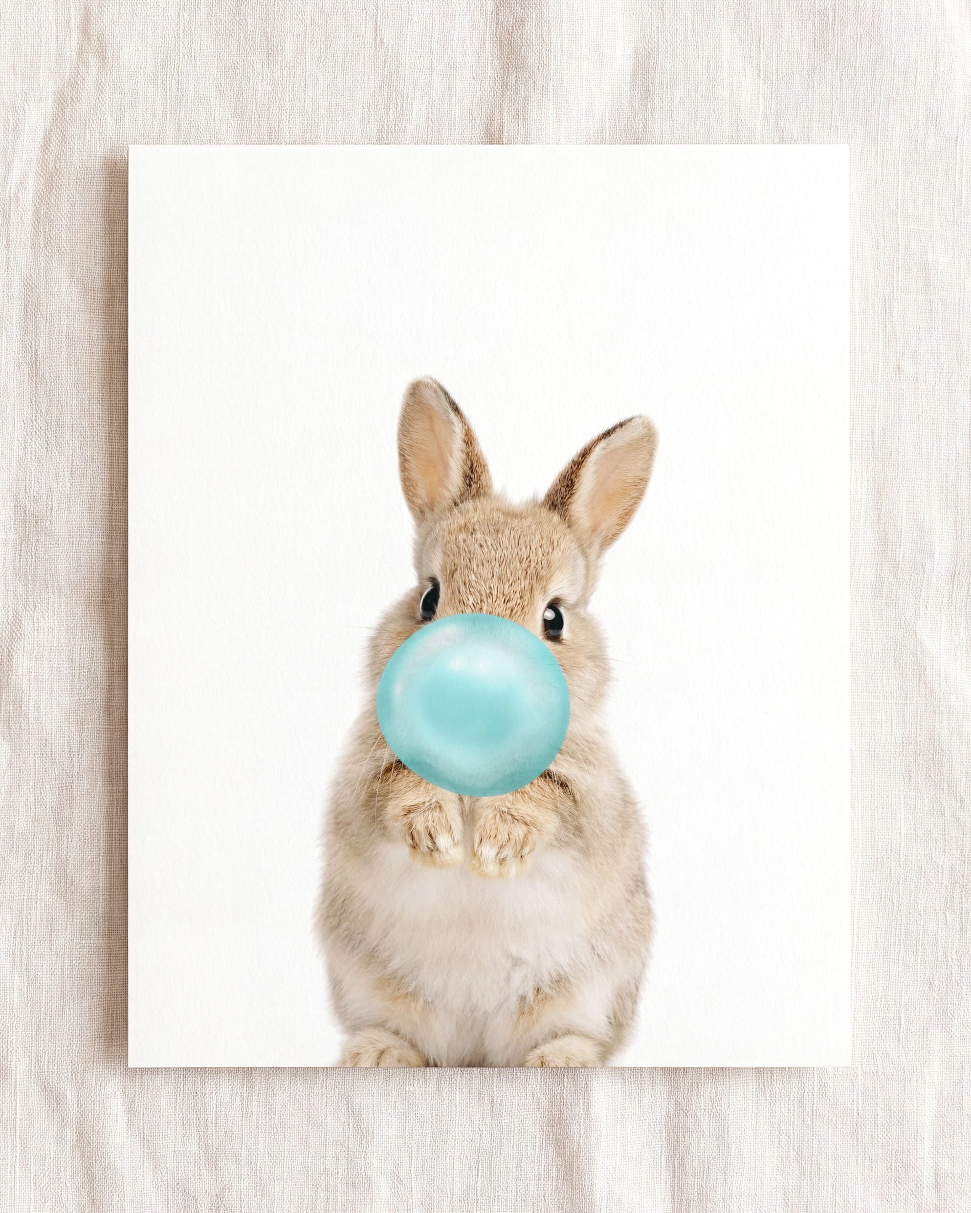 Baby Rabbit