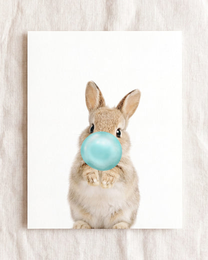 Baby Rabbit