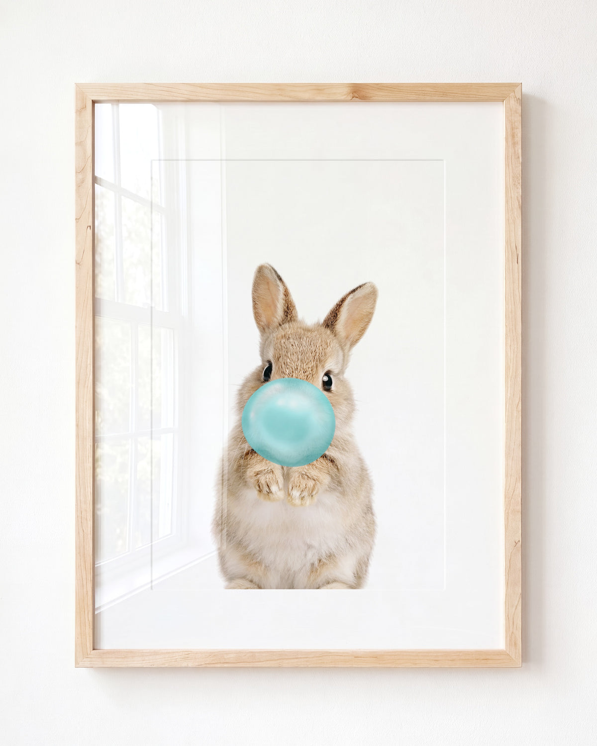 Baby Rabbit