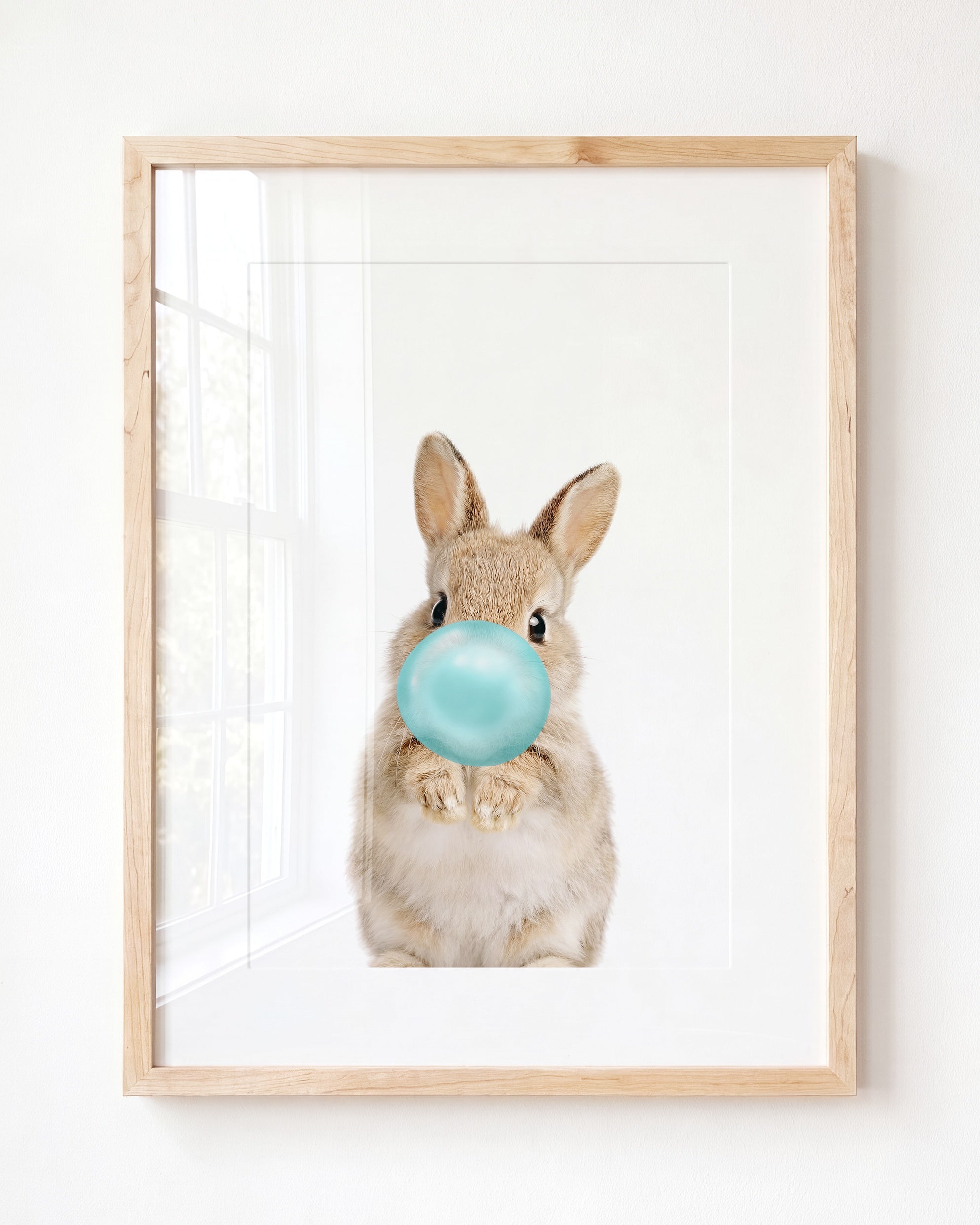 Baby Rabbit