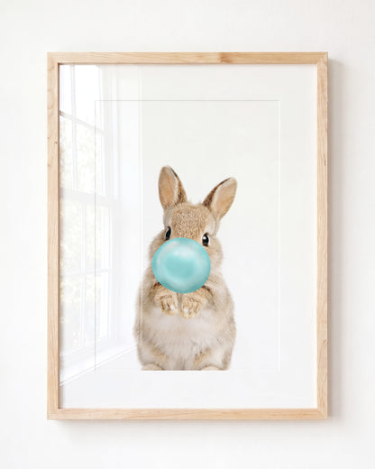 Baby Rabbit