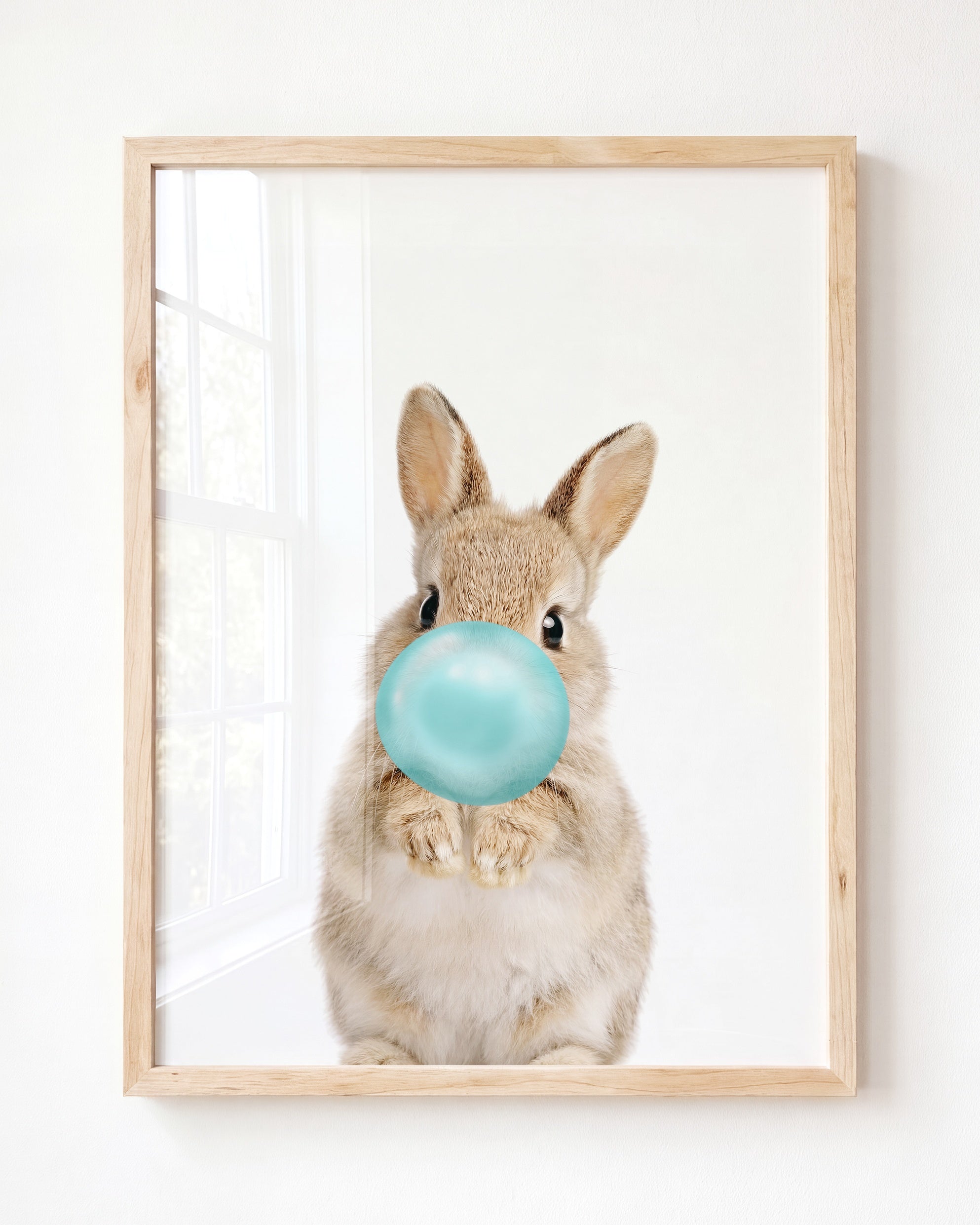Baby Rabbit