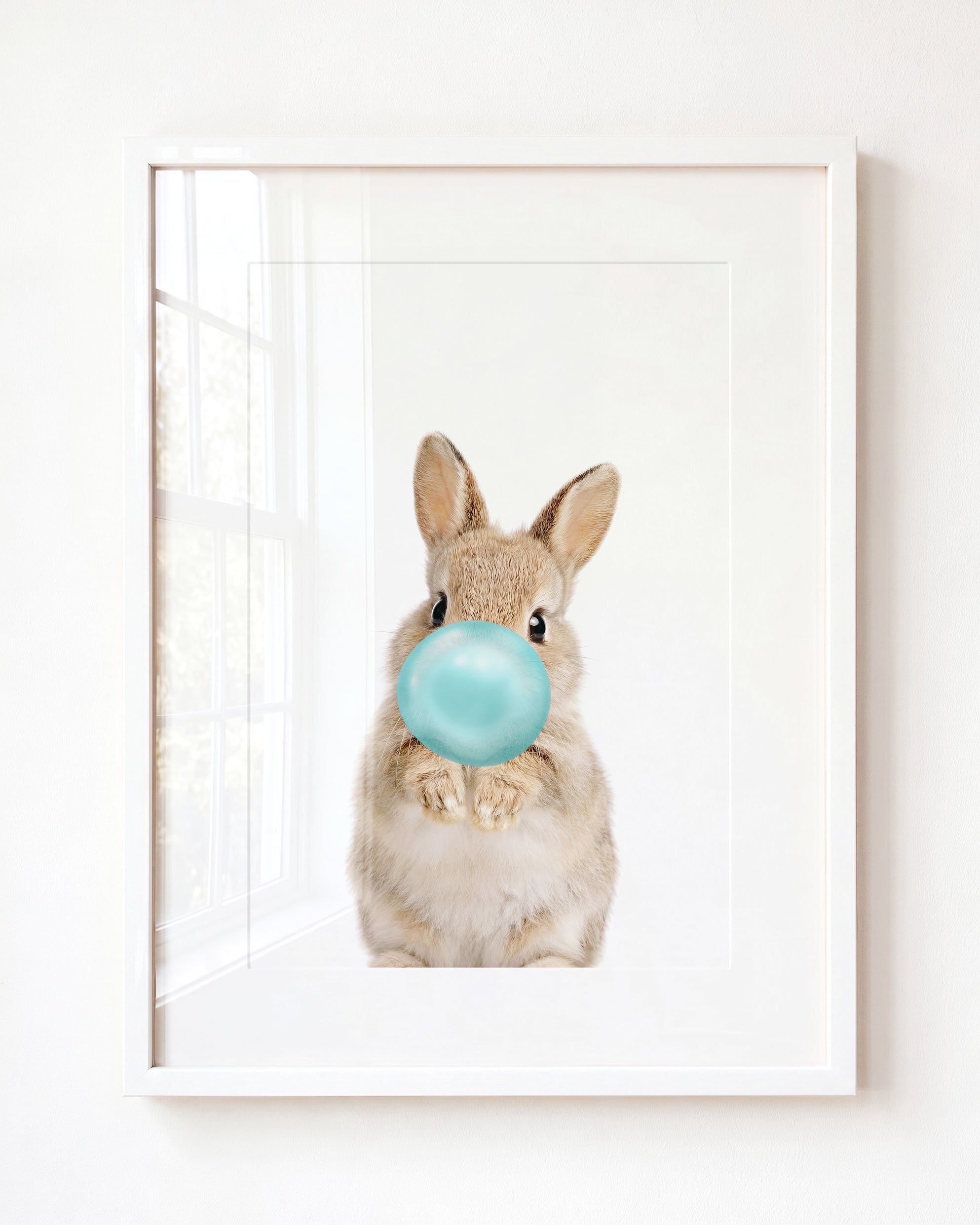 Baby Rabbit