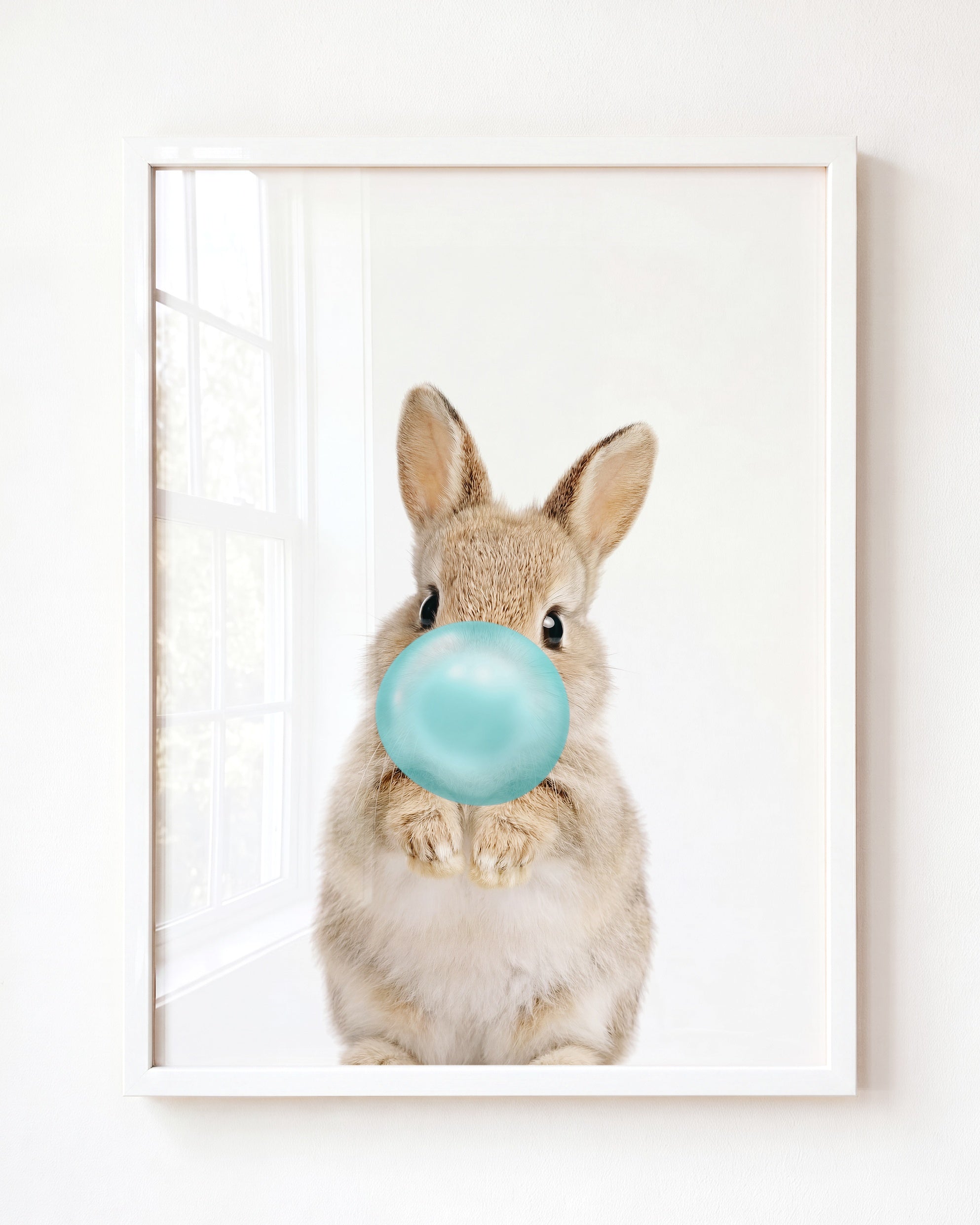 Baby Rabbit