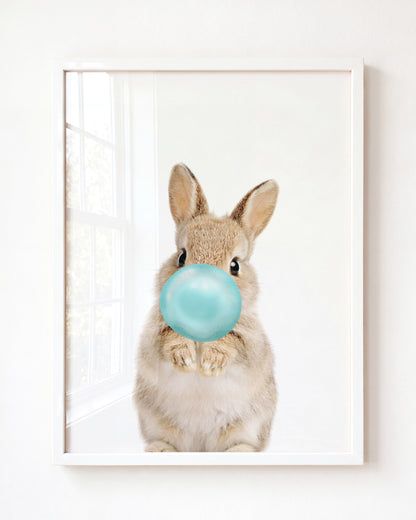 Baby Rabbit