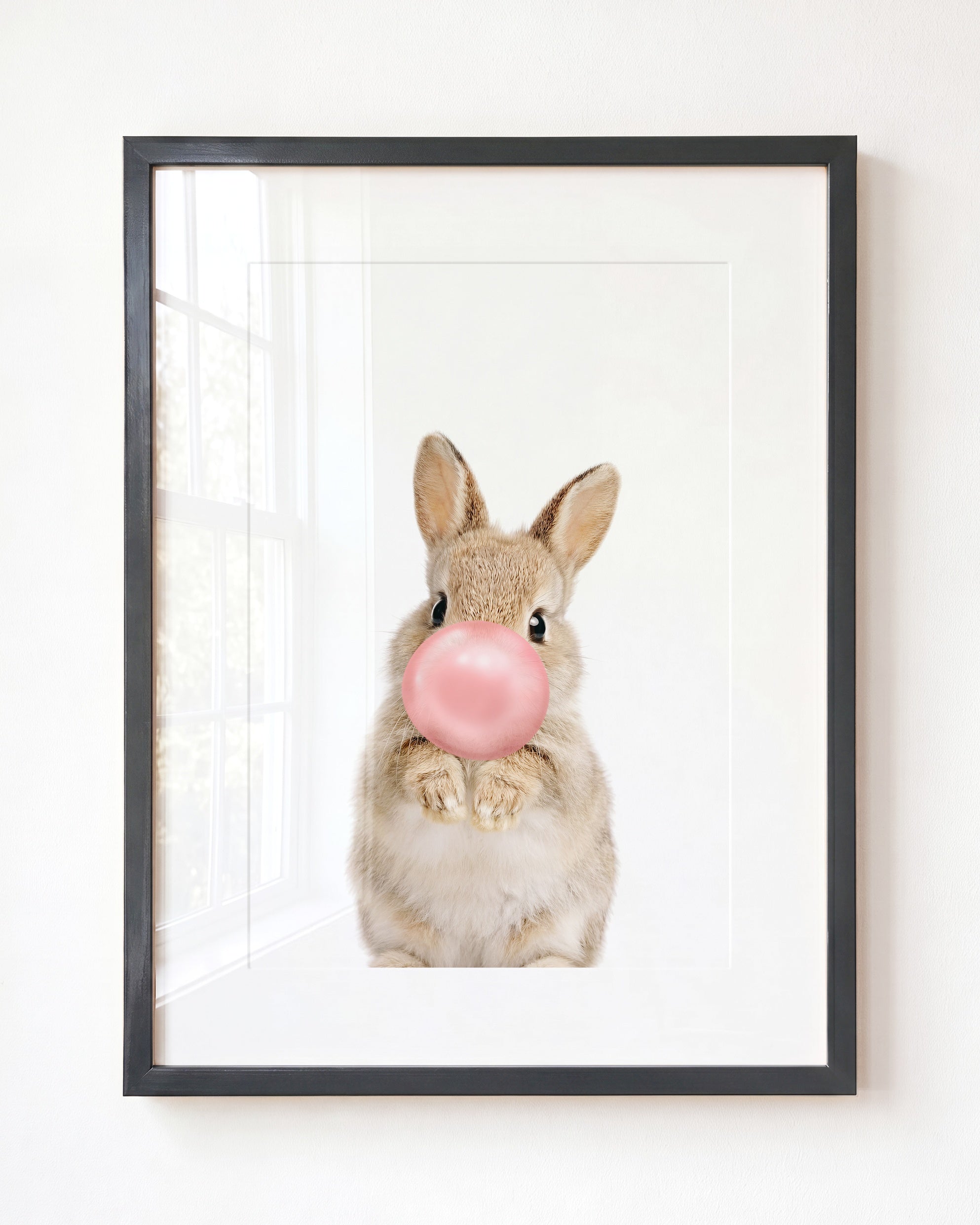 Baby Rabbit