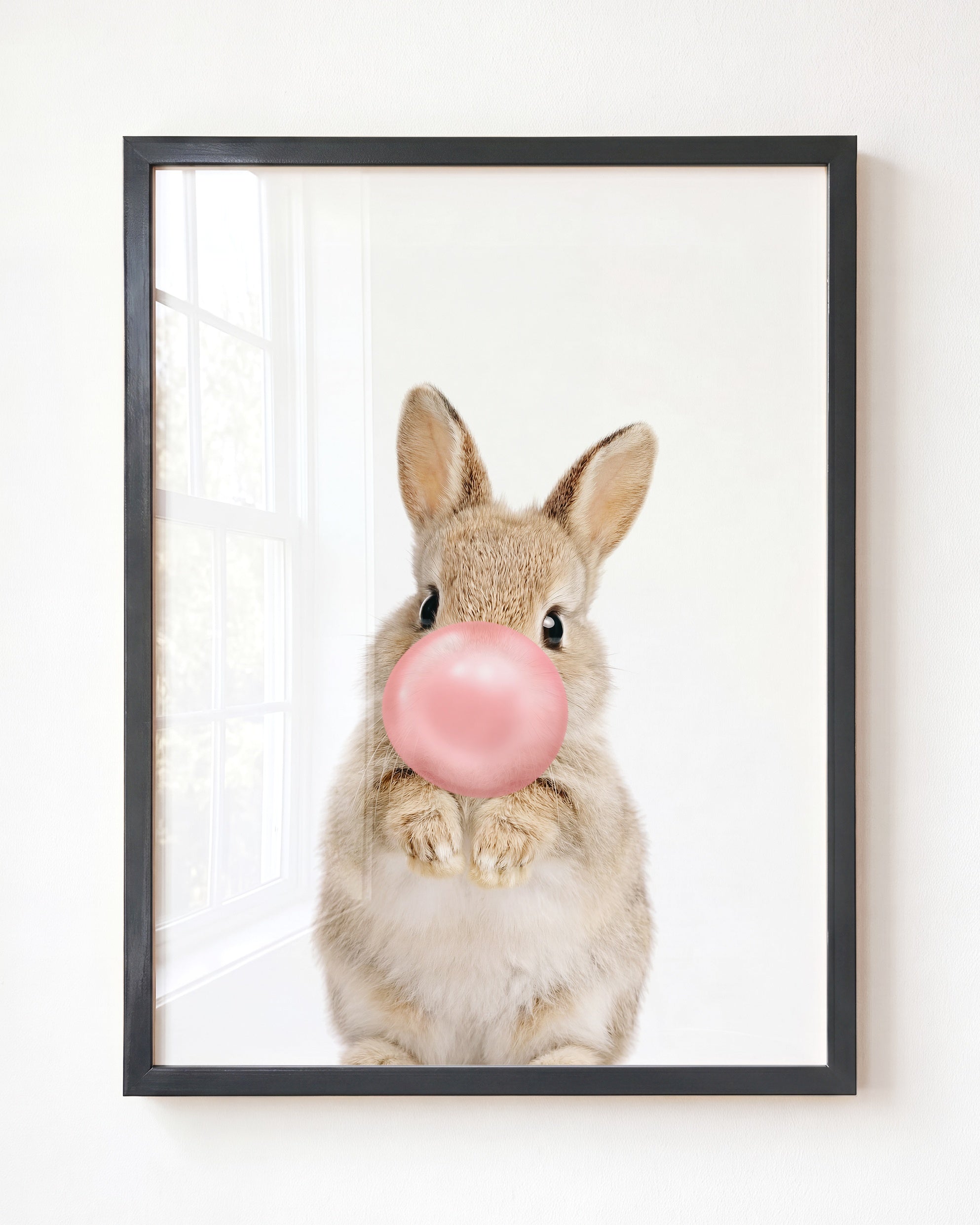 Baby Rabbit