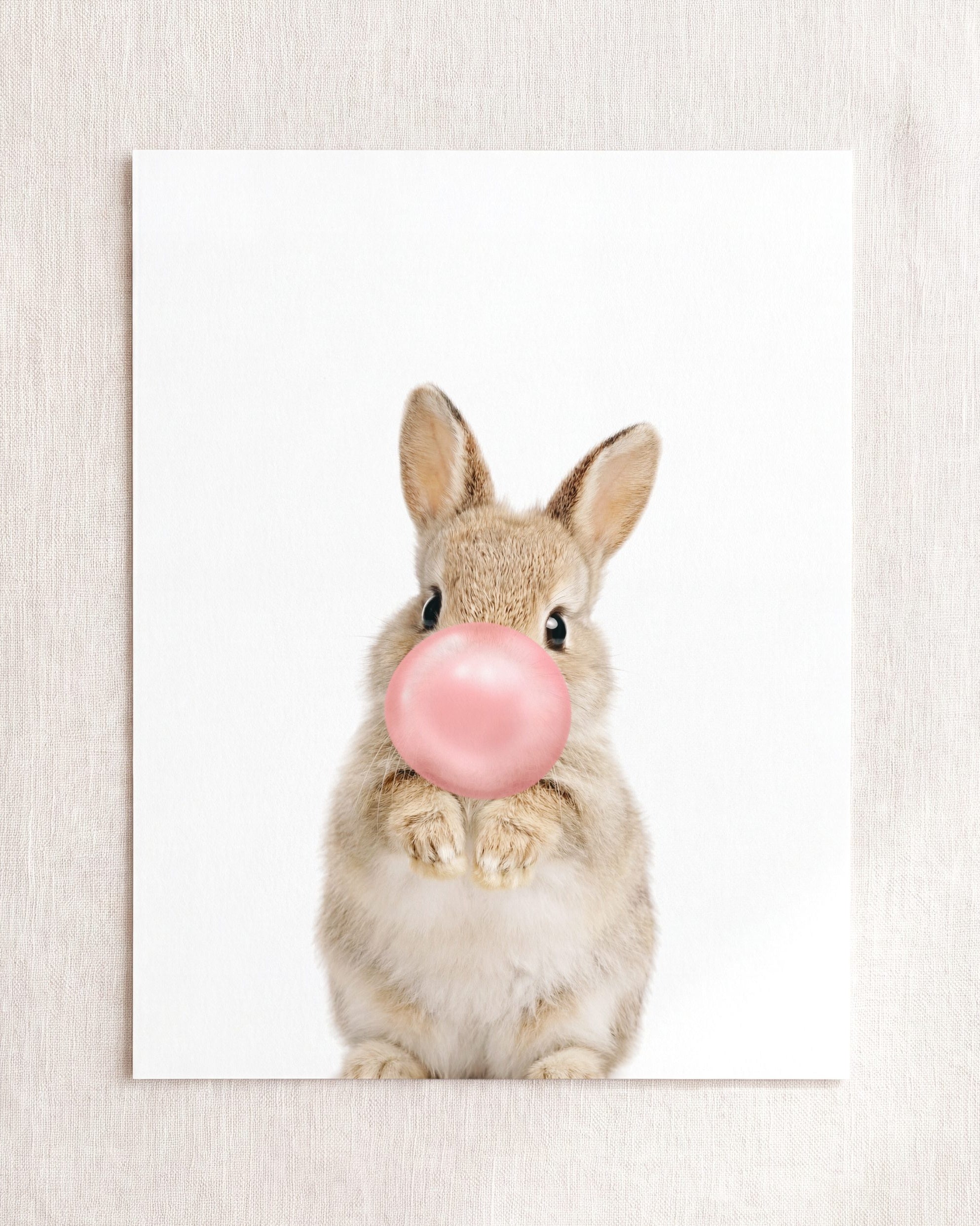 Baby Rabbit
