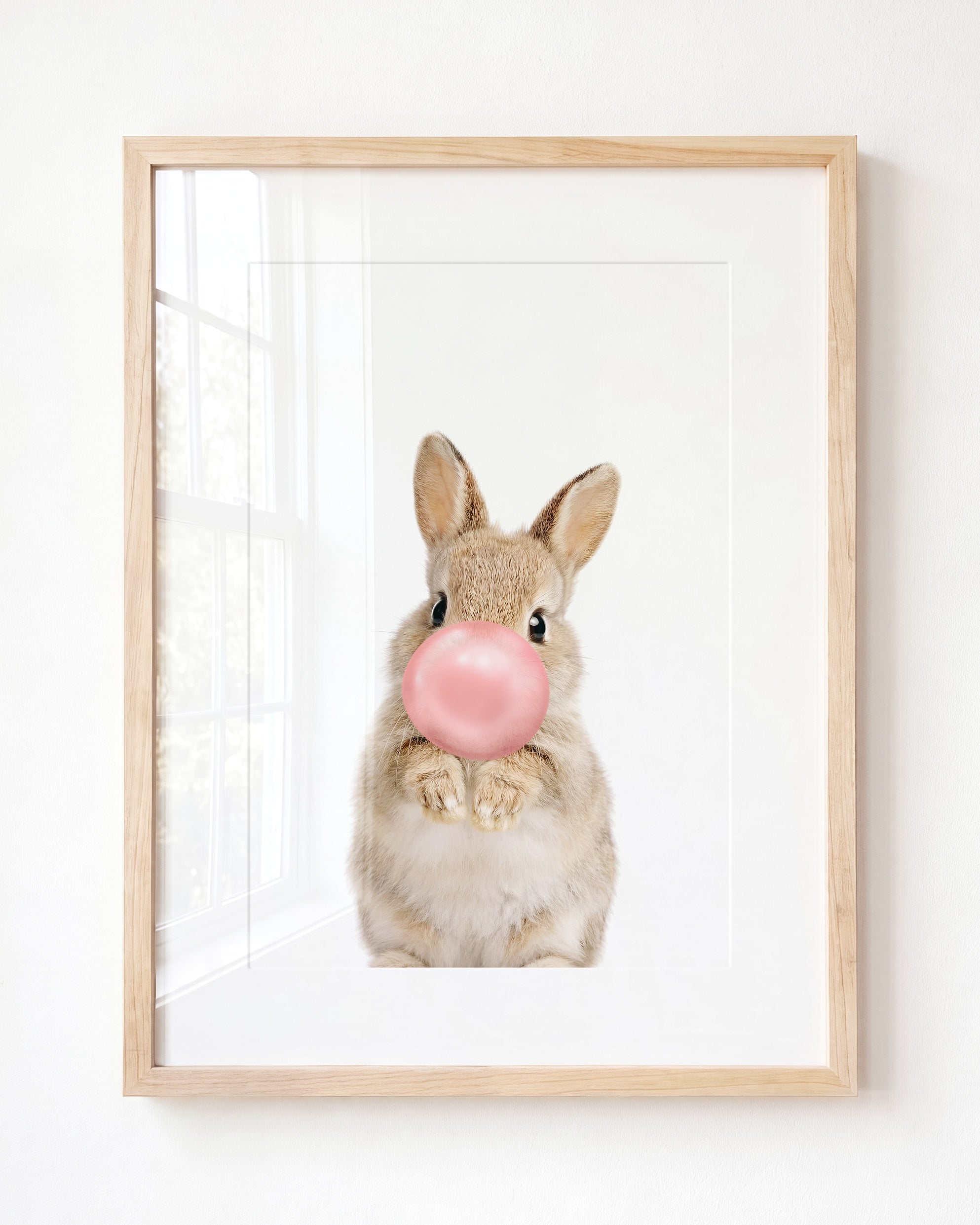 Baby Rabbit
