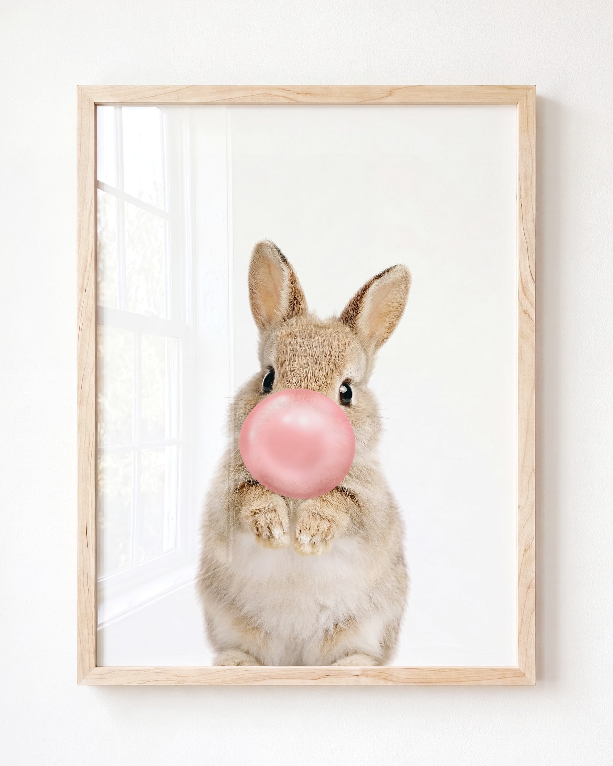 Baby Rabbit
