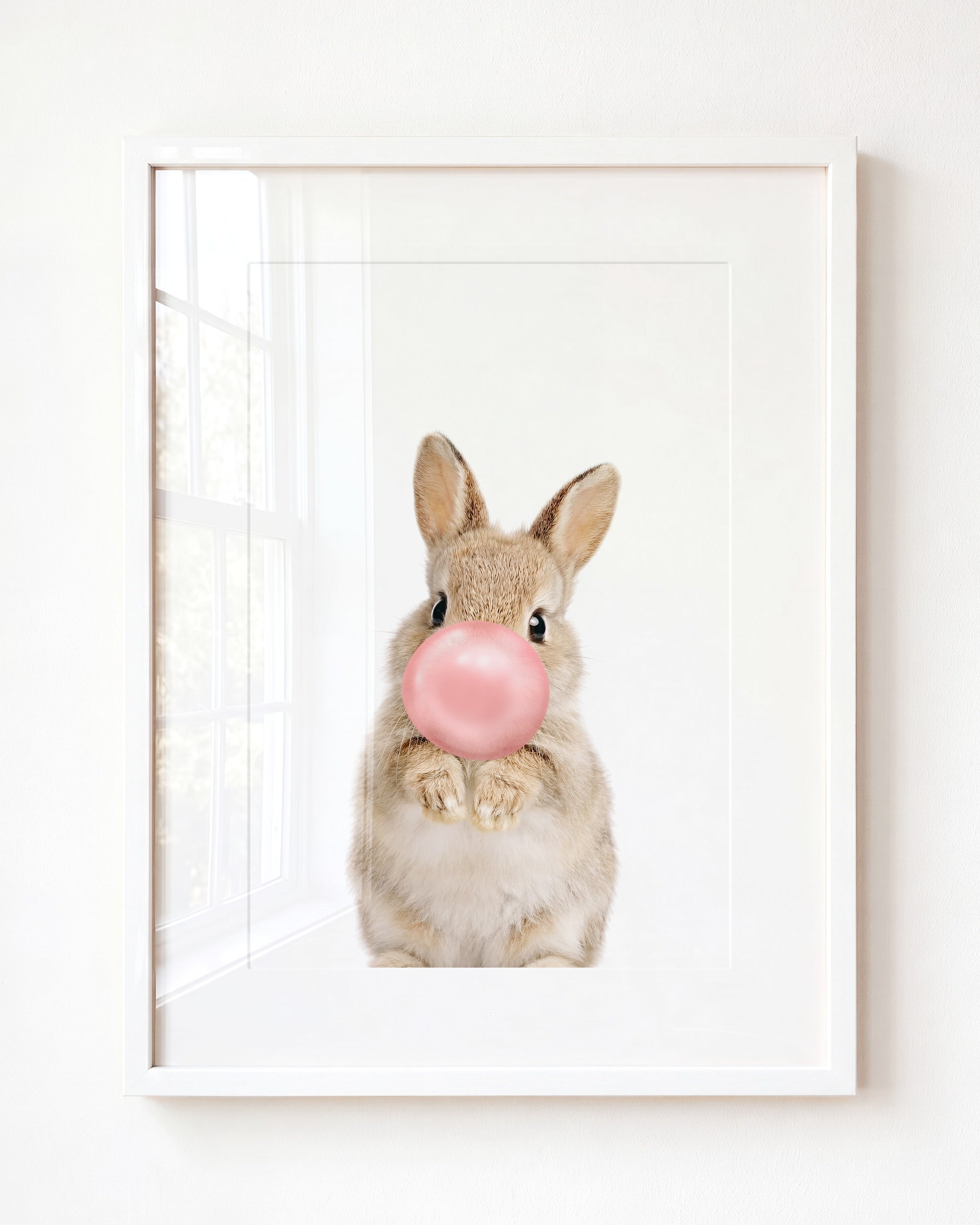 Baby Rabbit