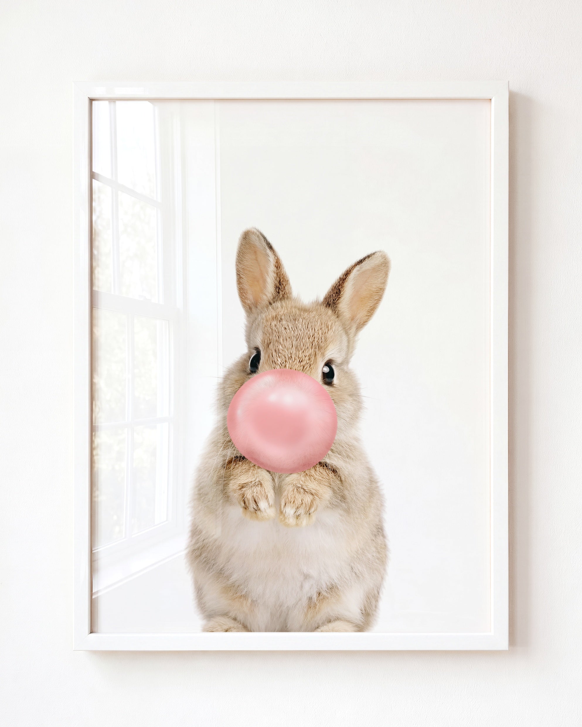 Baby Rabbit