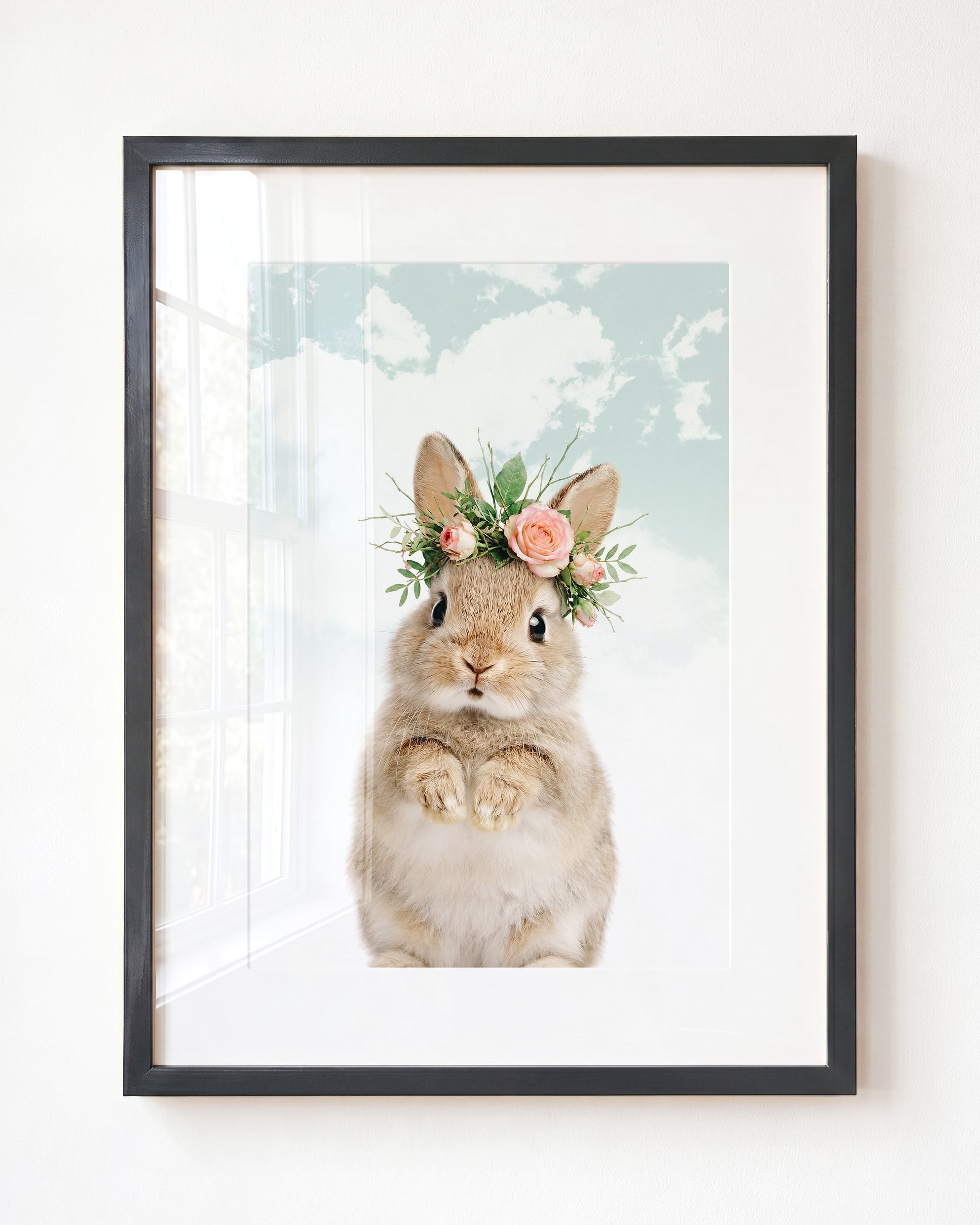 Baby Rabbit