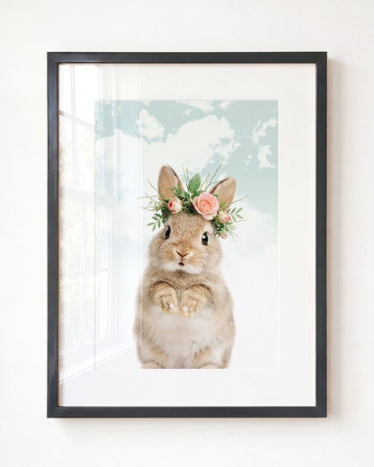 Baby Rabbit