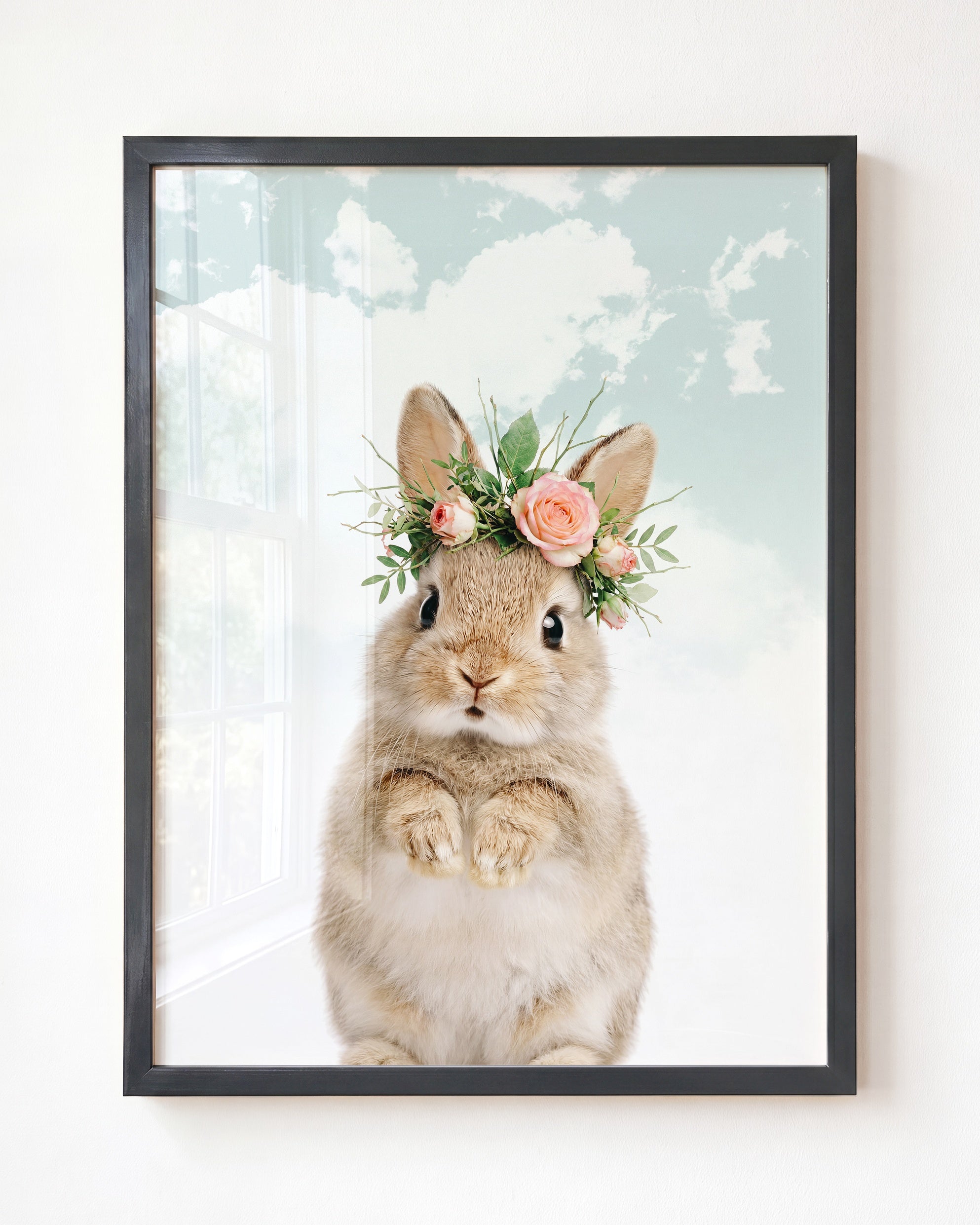 Baby Rabbit