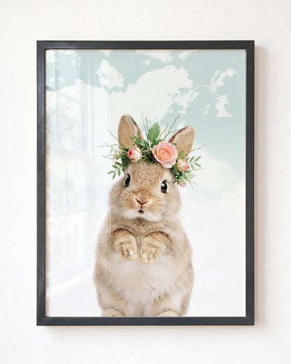 Baby Rabbit