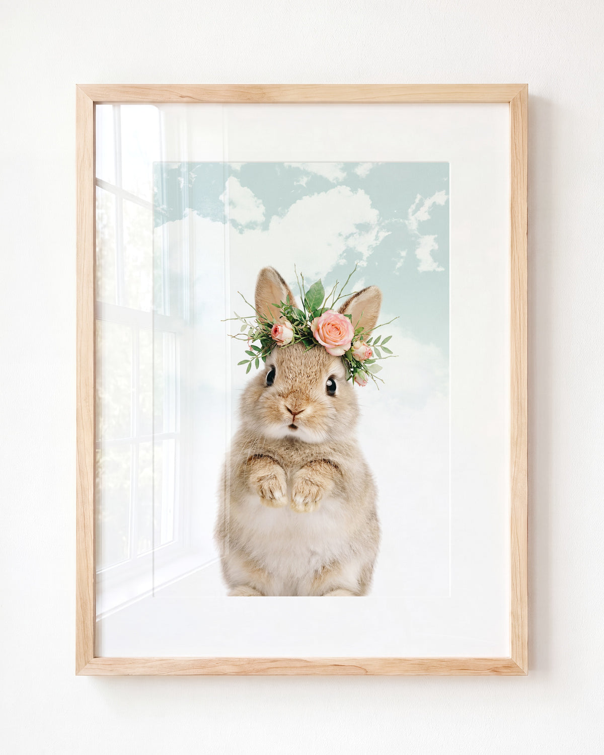Baby Rabbit