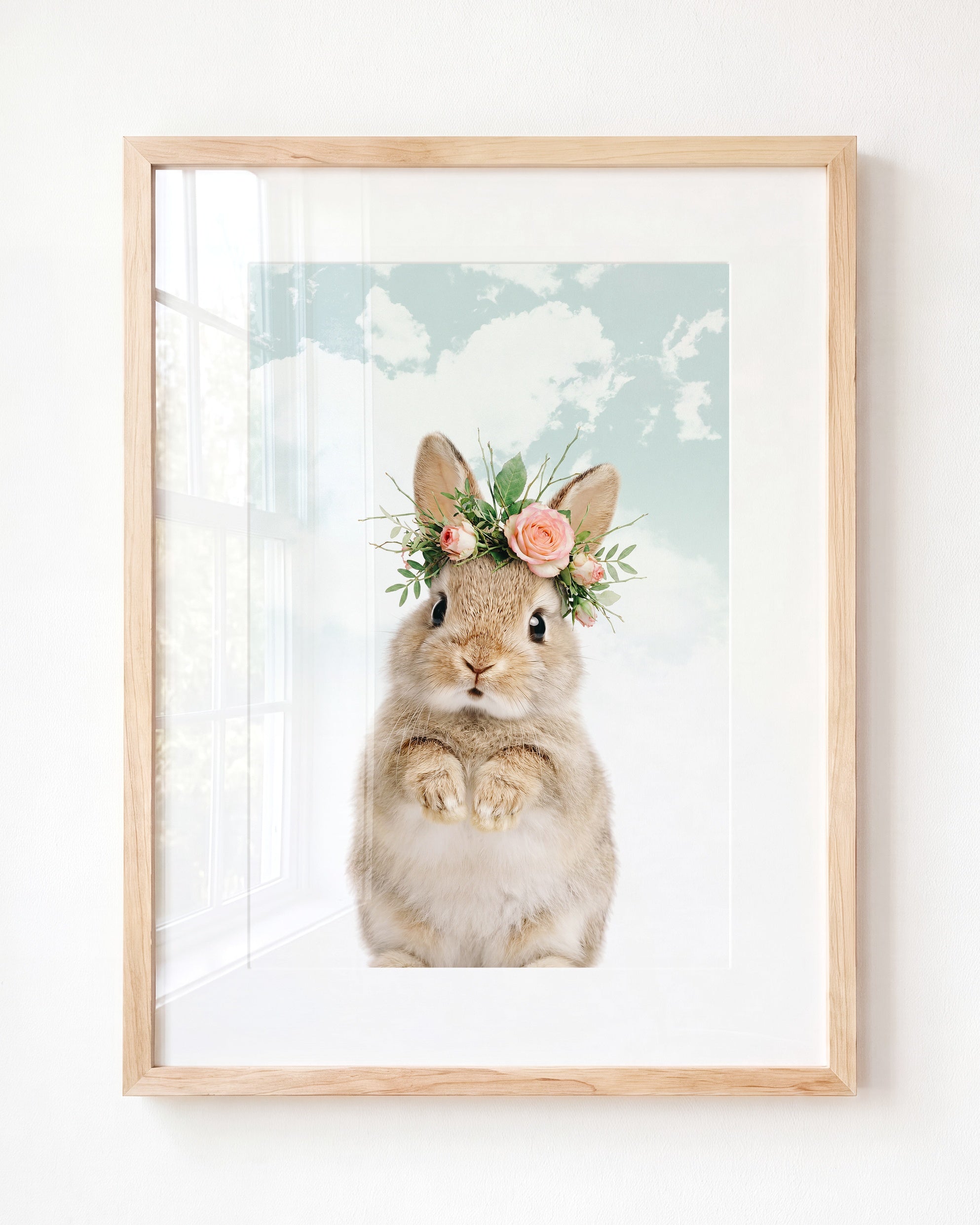 Baby Rabbit
