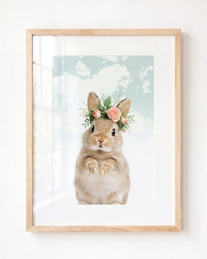 Baby Rabbit