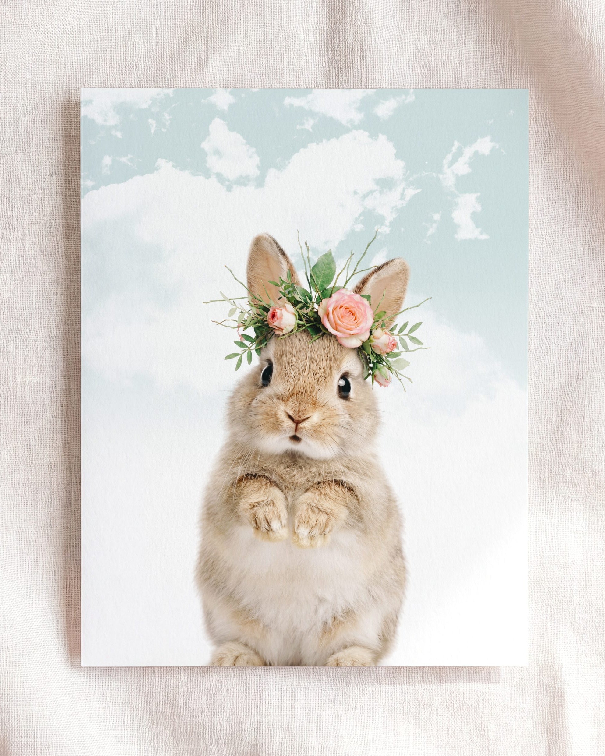 Baby Rabbit