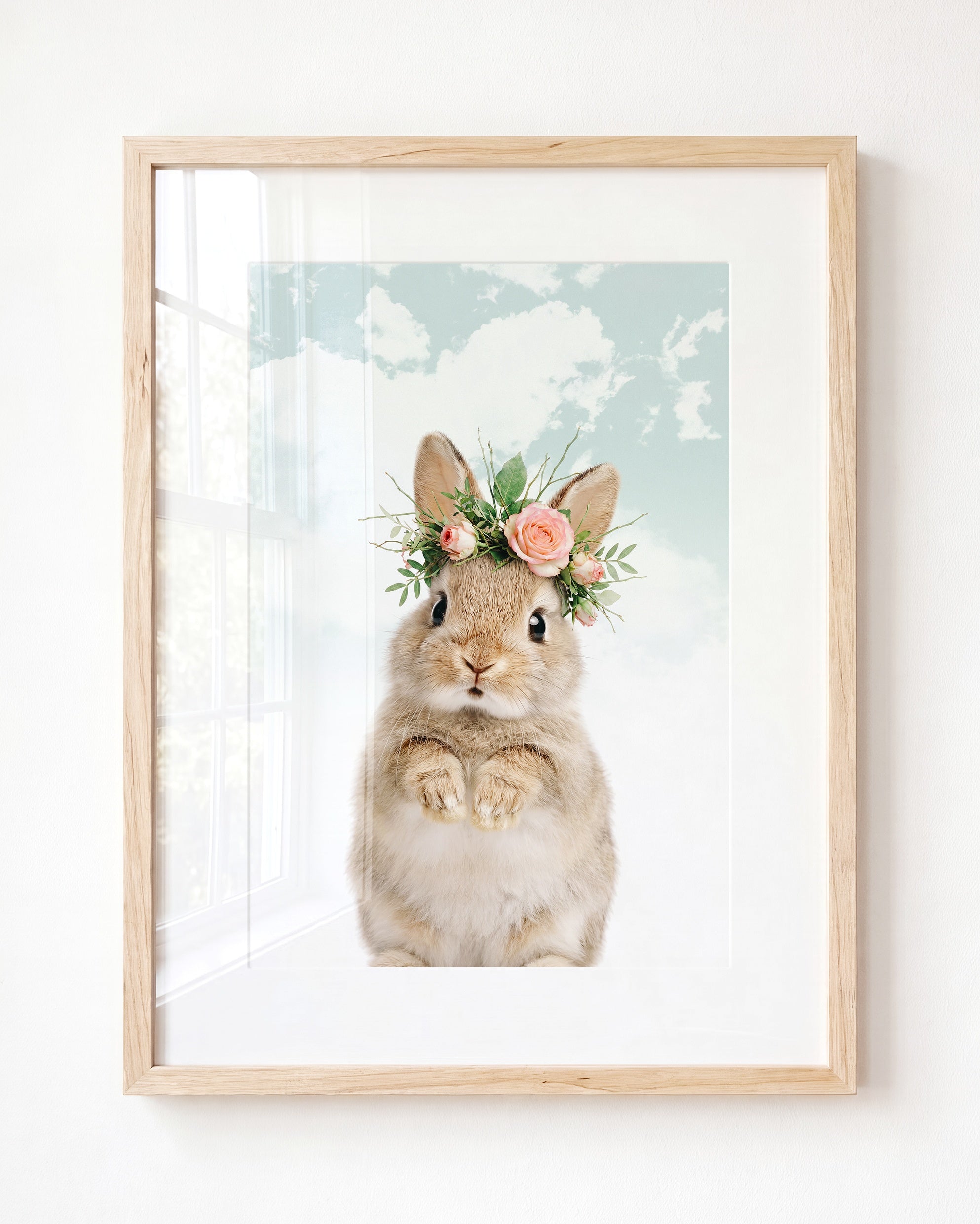 Baby Rabbit