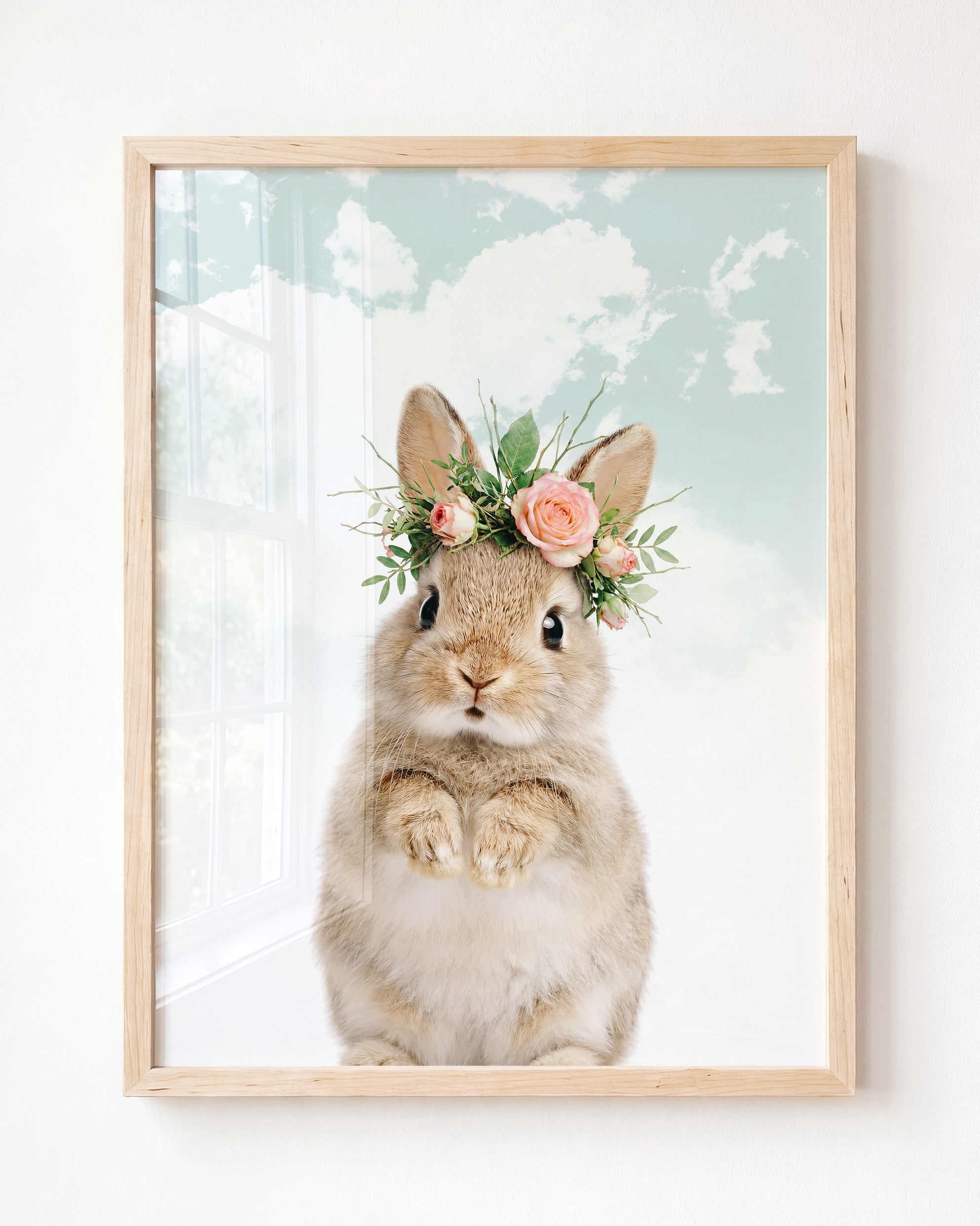 Baby Rabbit