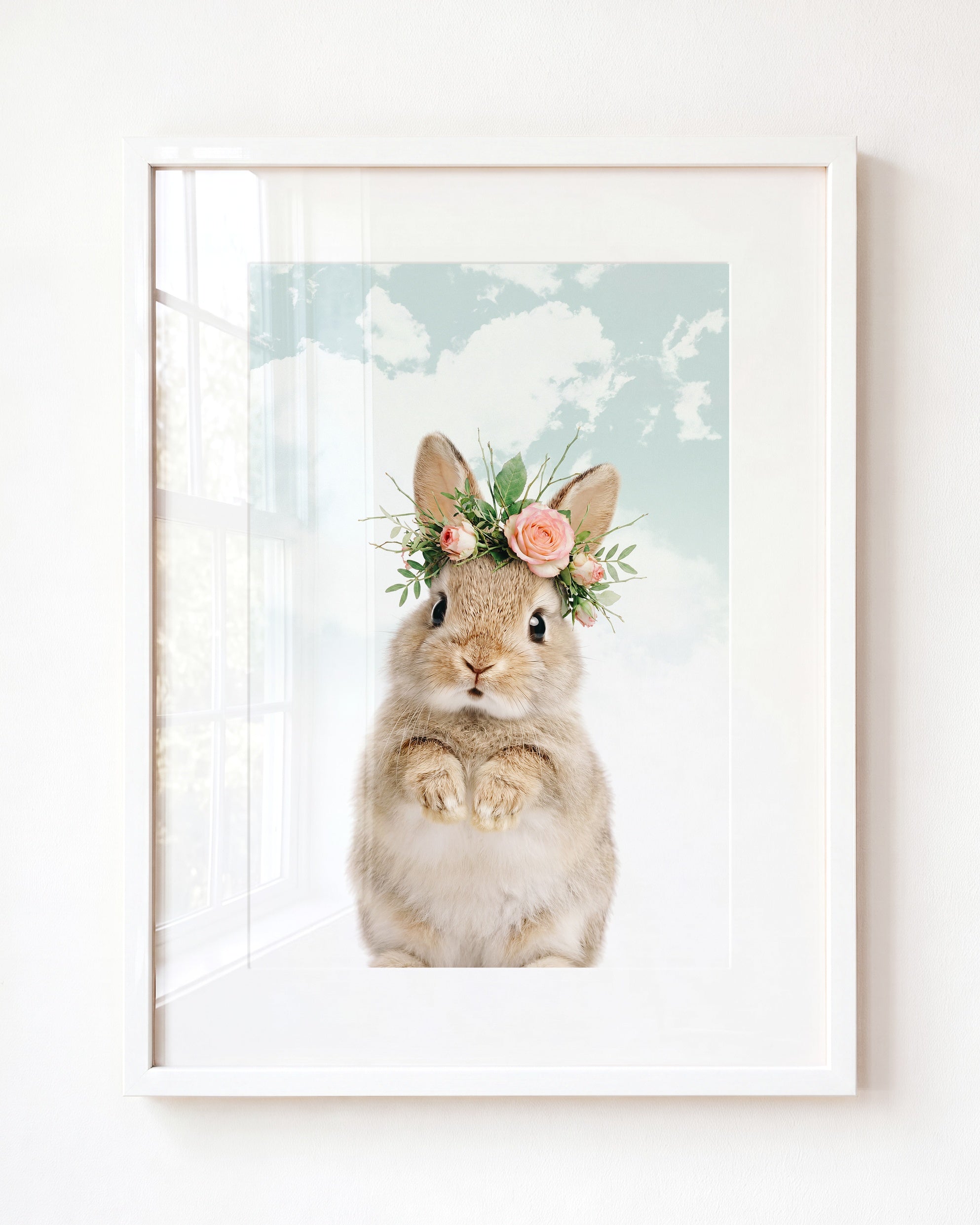 Baby Rabbit