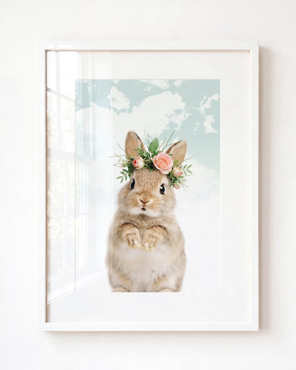 Baby Rabbit