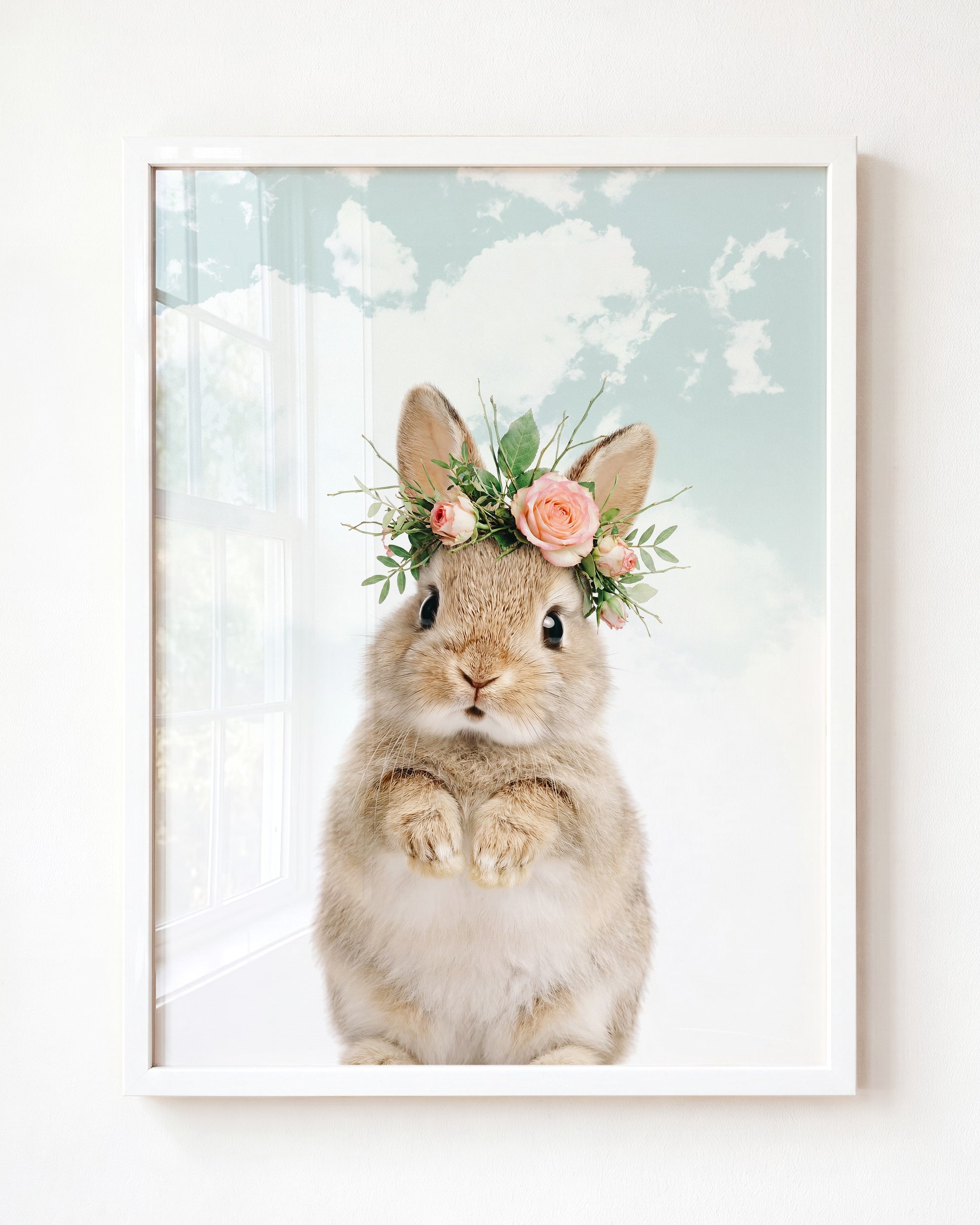 Baby Rabbit