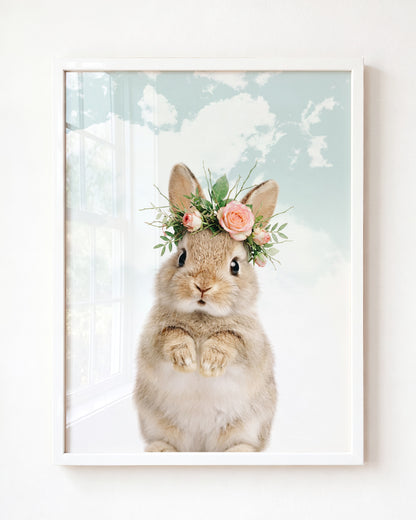 Baby Rabbit