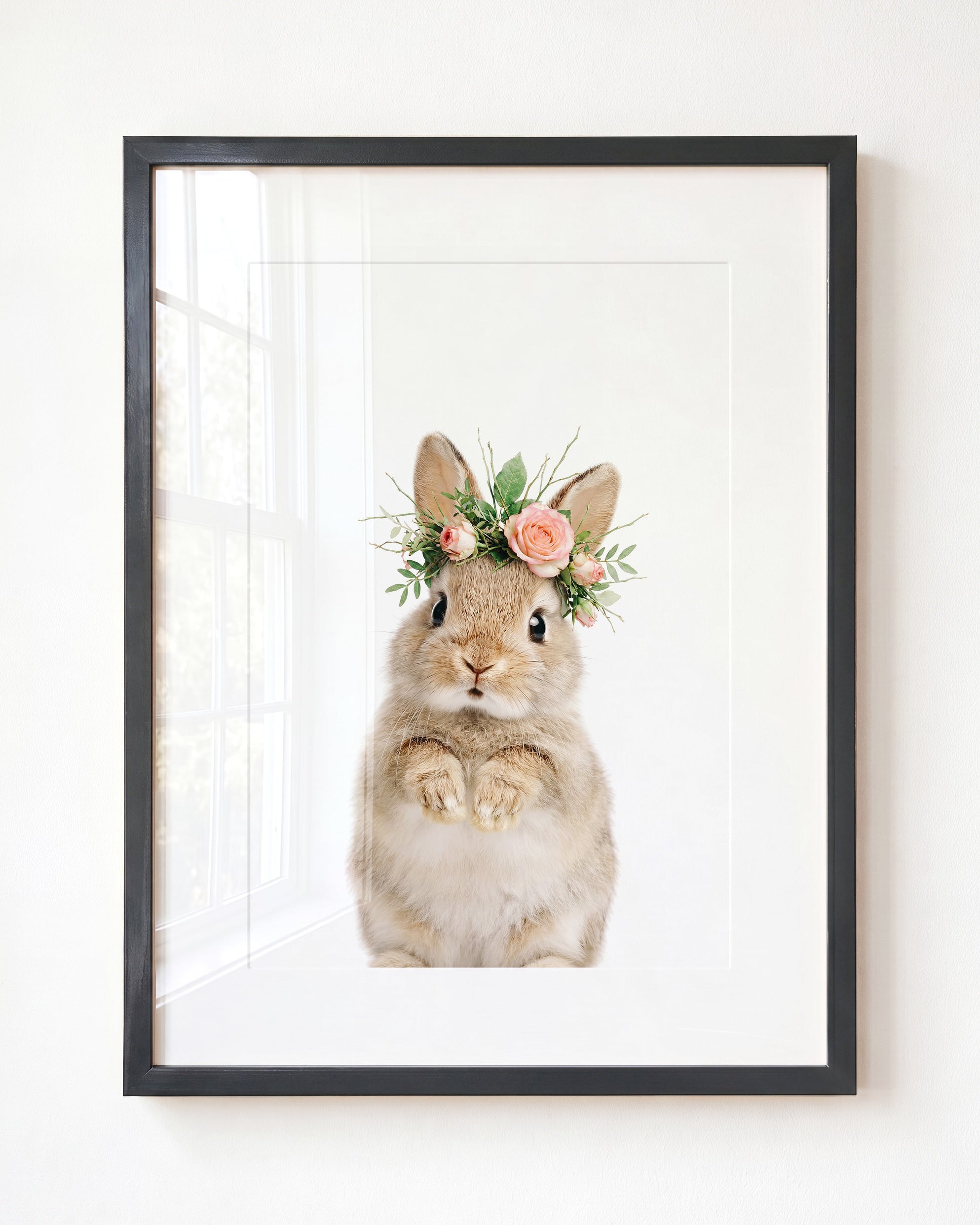 Baby Rabbit