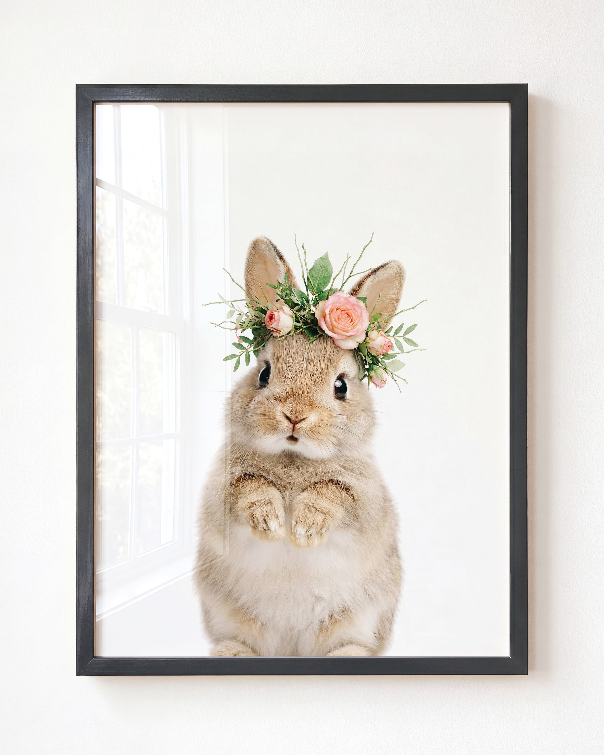 Baby Rabbit