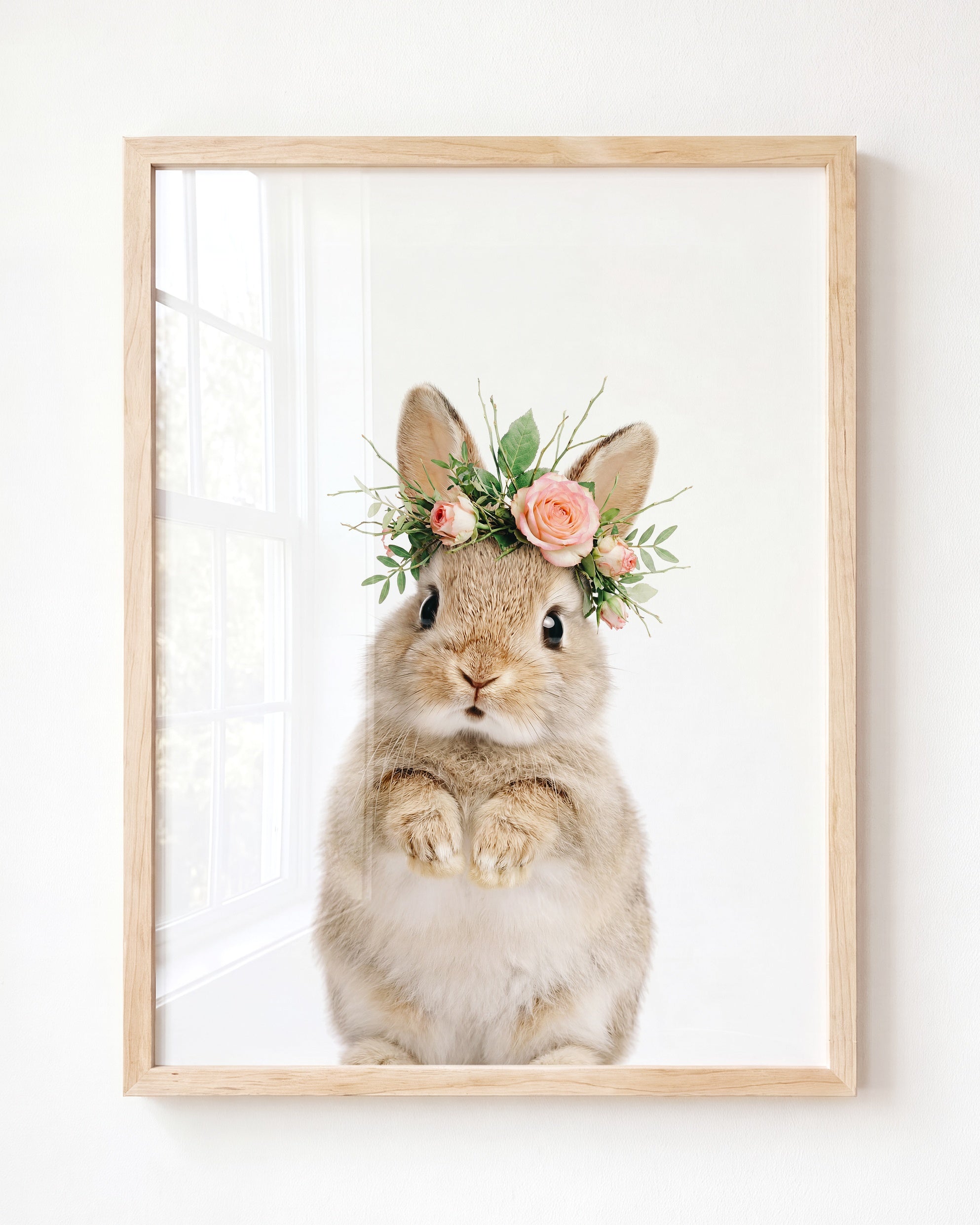 Baby Rabbit