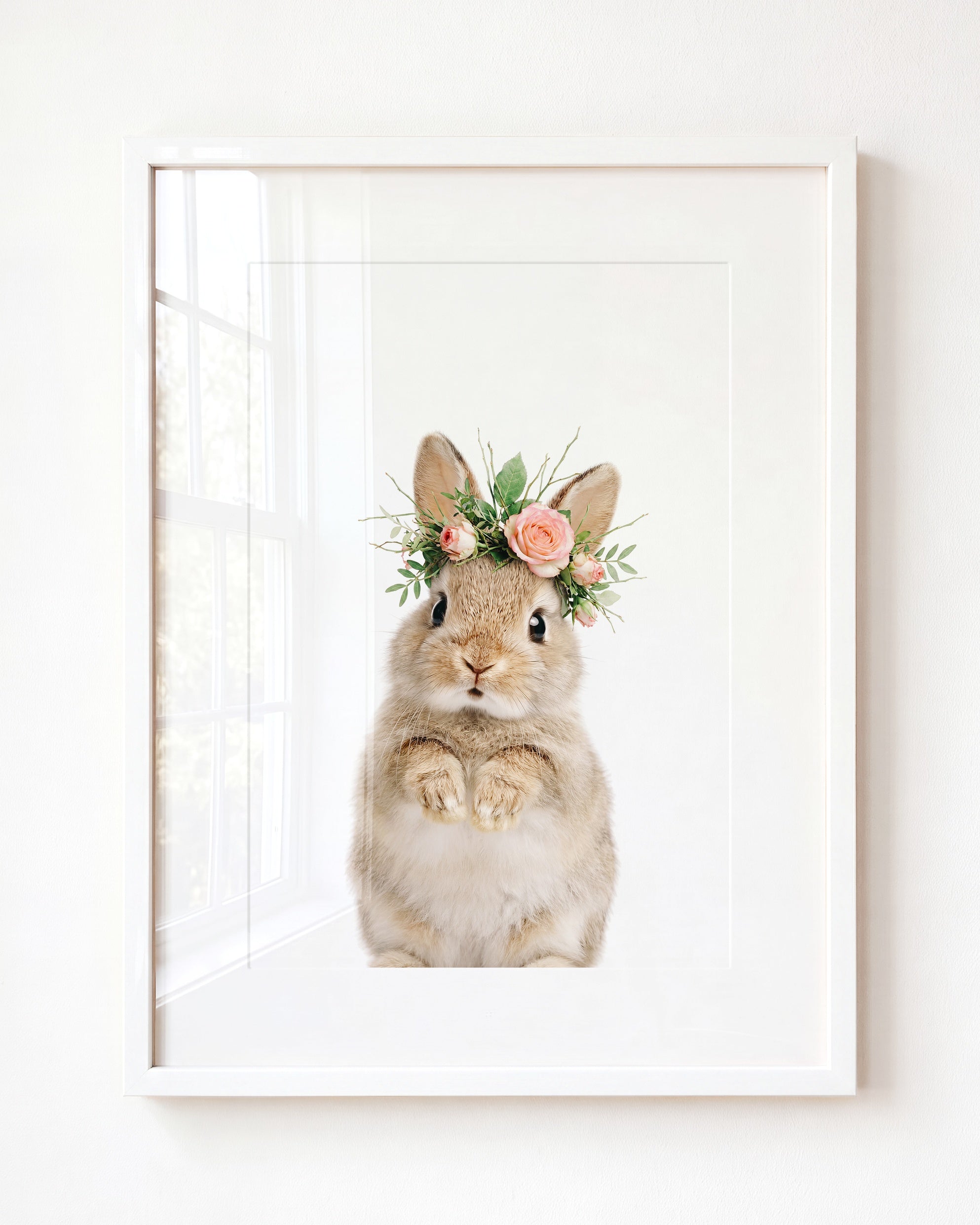 Baby Rabbit