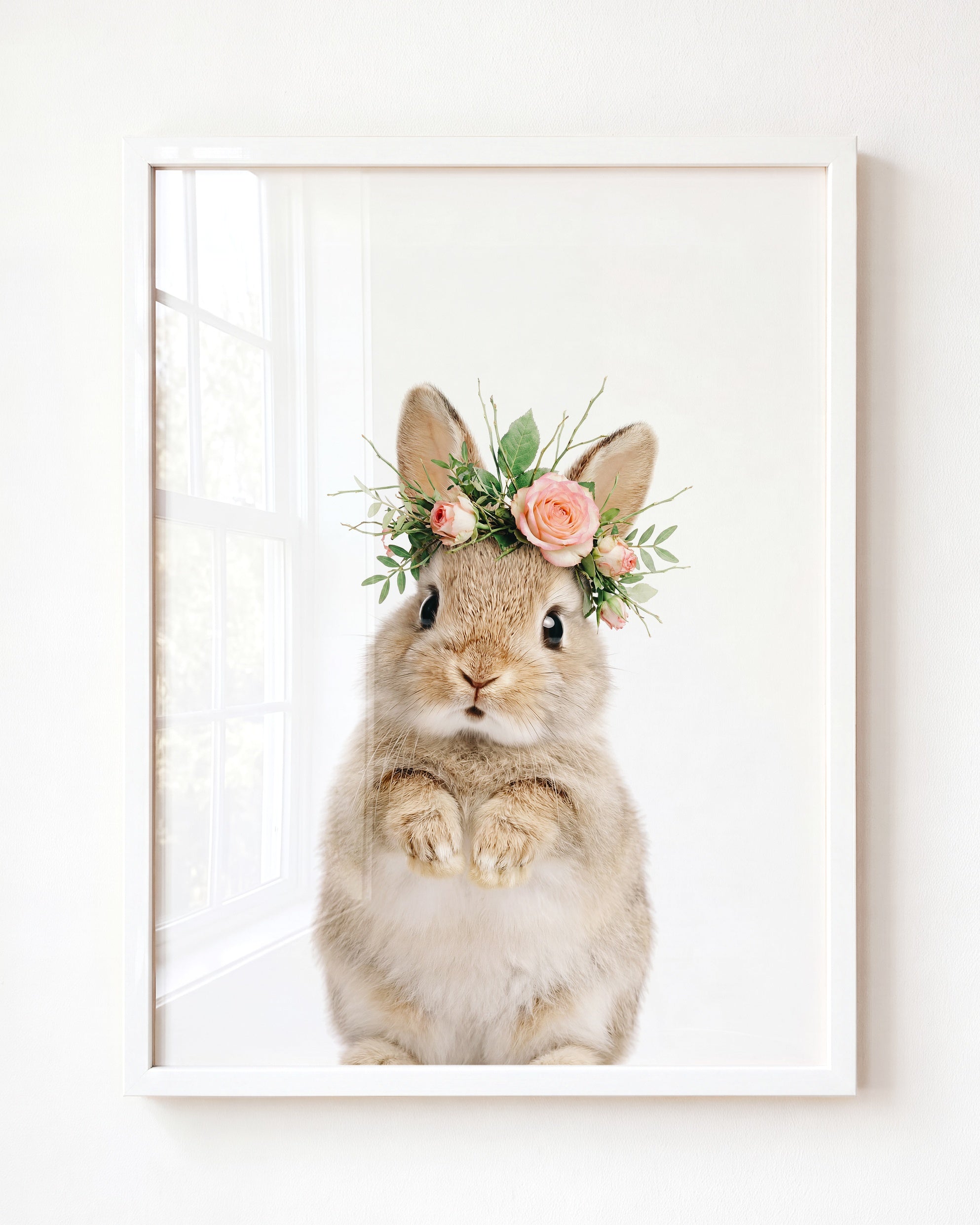 Baby Rabbit