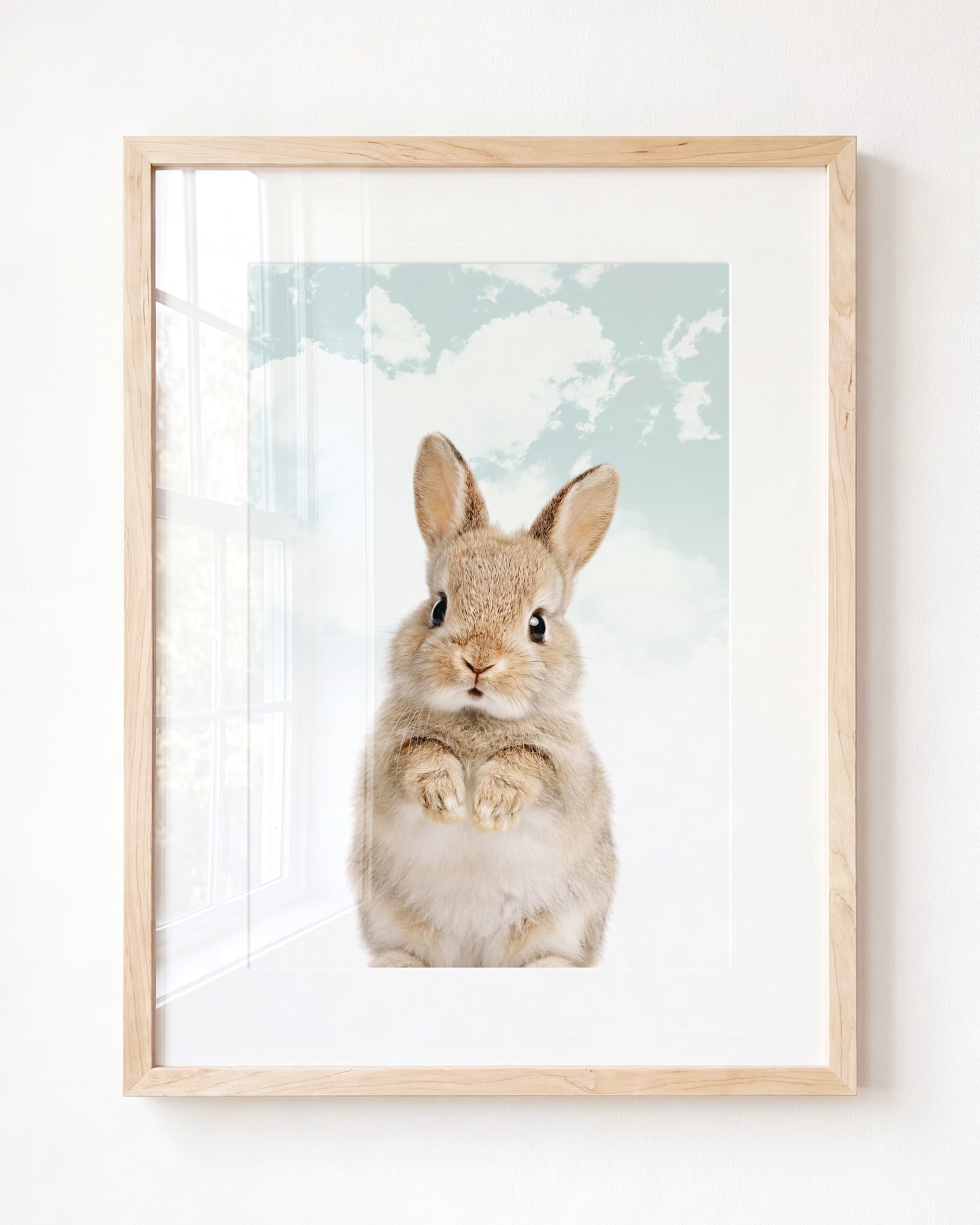 Baby Rabbit