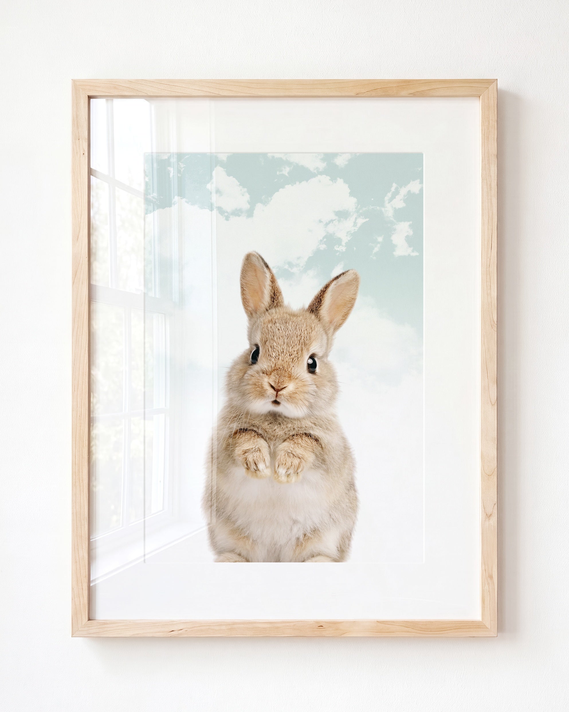 Baby Rabbit