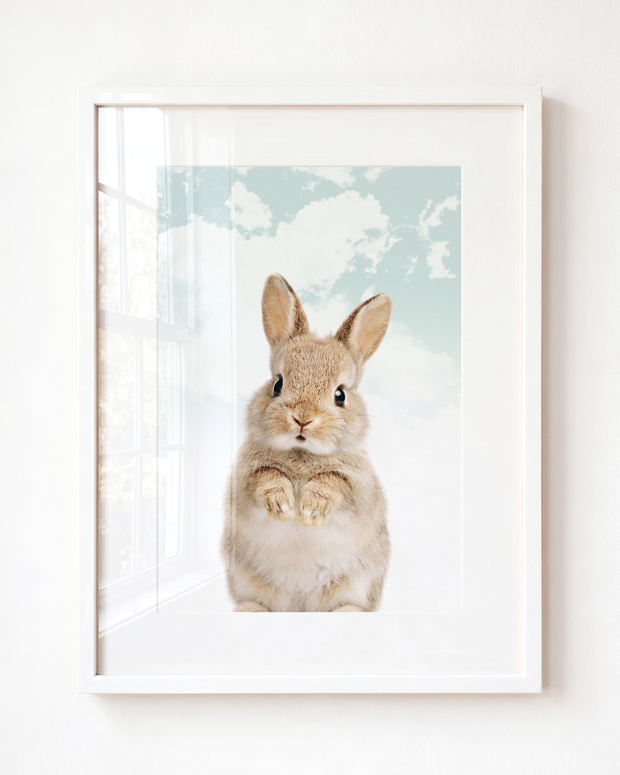 Baby Rabbit