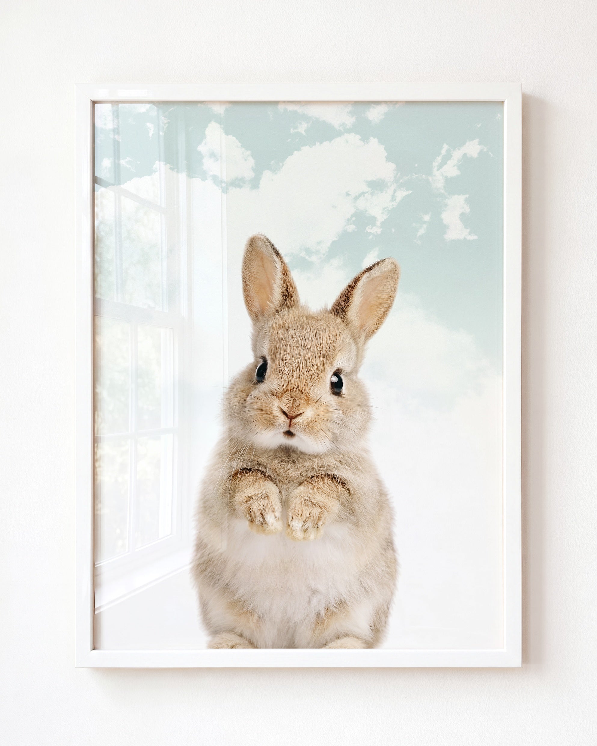 Baby Rabbit