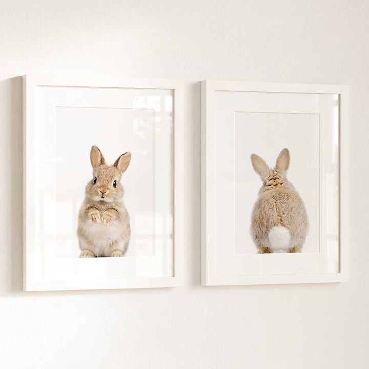Baby Rabbits - Heads and Tails - Set of 2 Nursery Art Prints