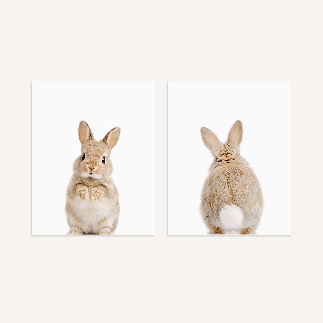 Baby Rabbits - Heads and Tails - Set of 2 Nursery Art Prints