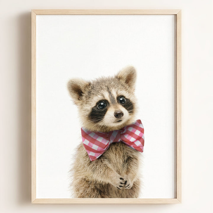 Baby Raccoon