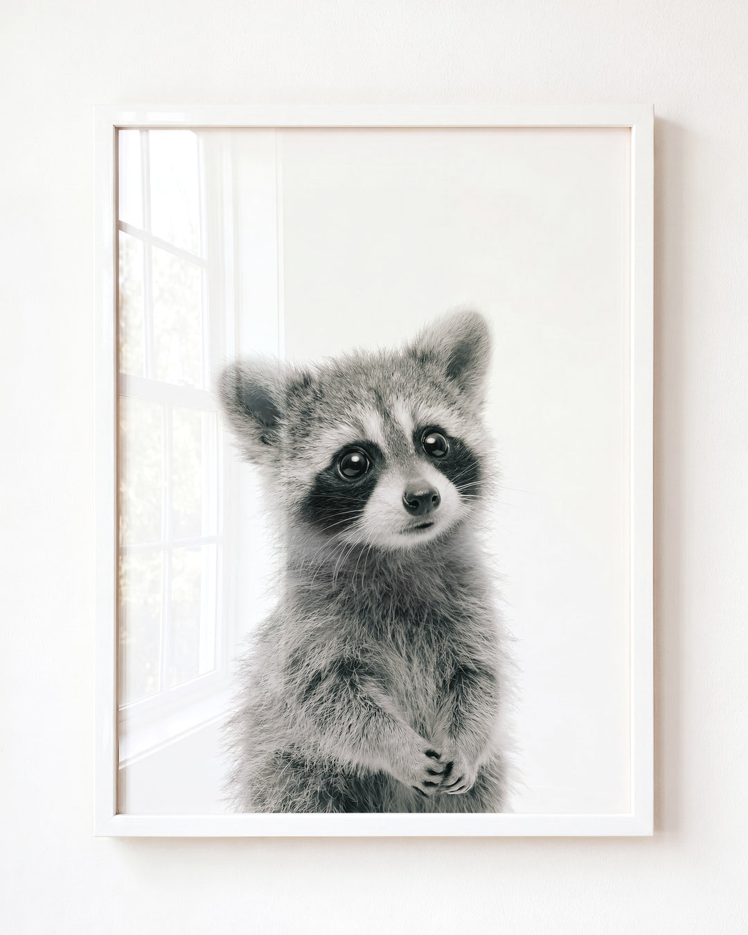 Baby Raccoon — Framed