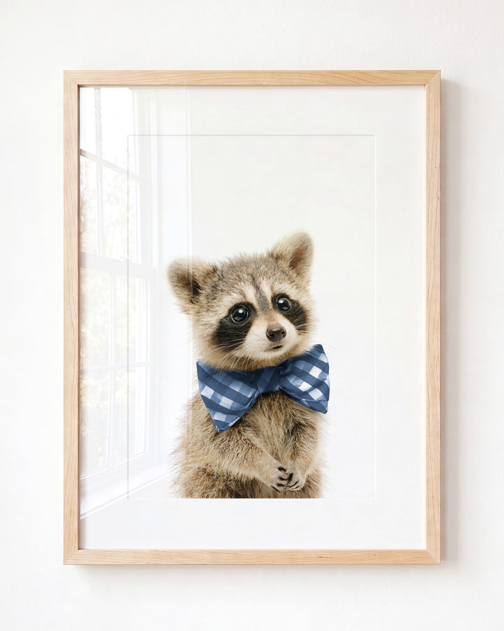 Baby Raccoon — Framed